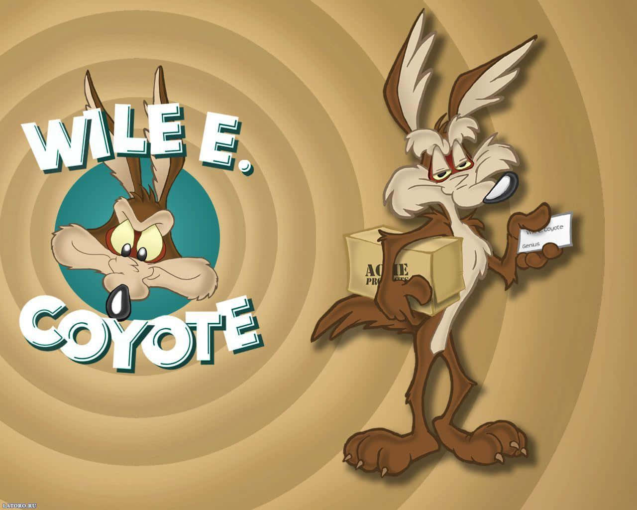準備好與樂一通一起享受歡樂與笑聲吧！ 壁紙 — Wile E. Coyote 企喺旋轉嘅米色背景前，拎住一個盒同一張紙條，佢個樣喺一個圓形標誌入面。