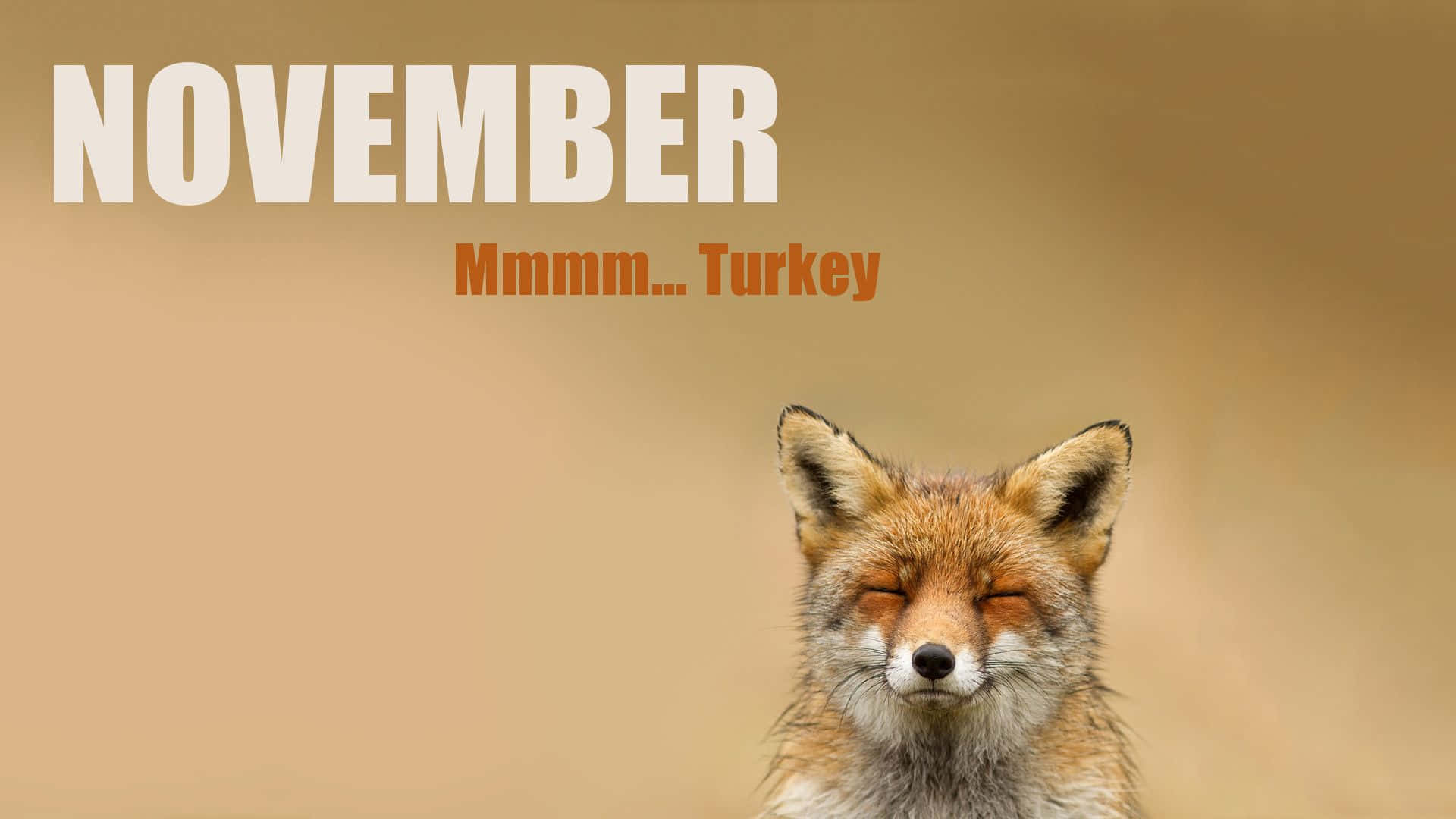 一隻微笑的狐狸閉著眼睛，文字寫著November Mmmm Turkey。