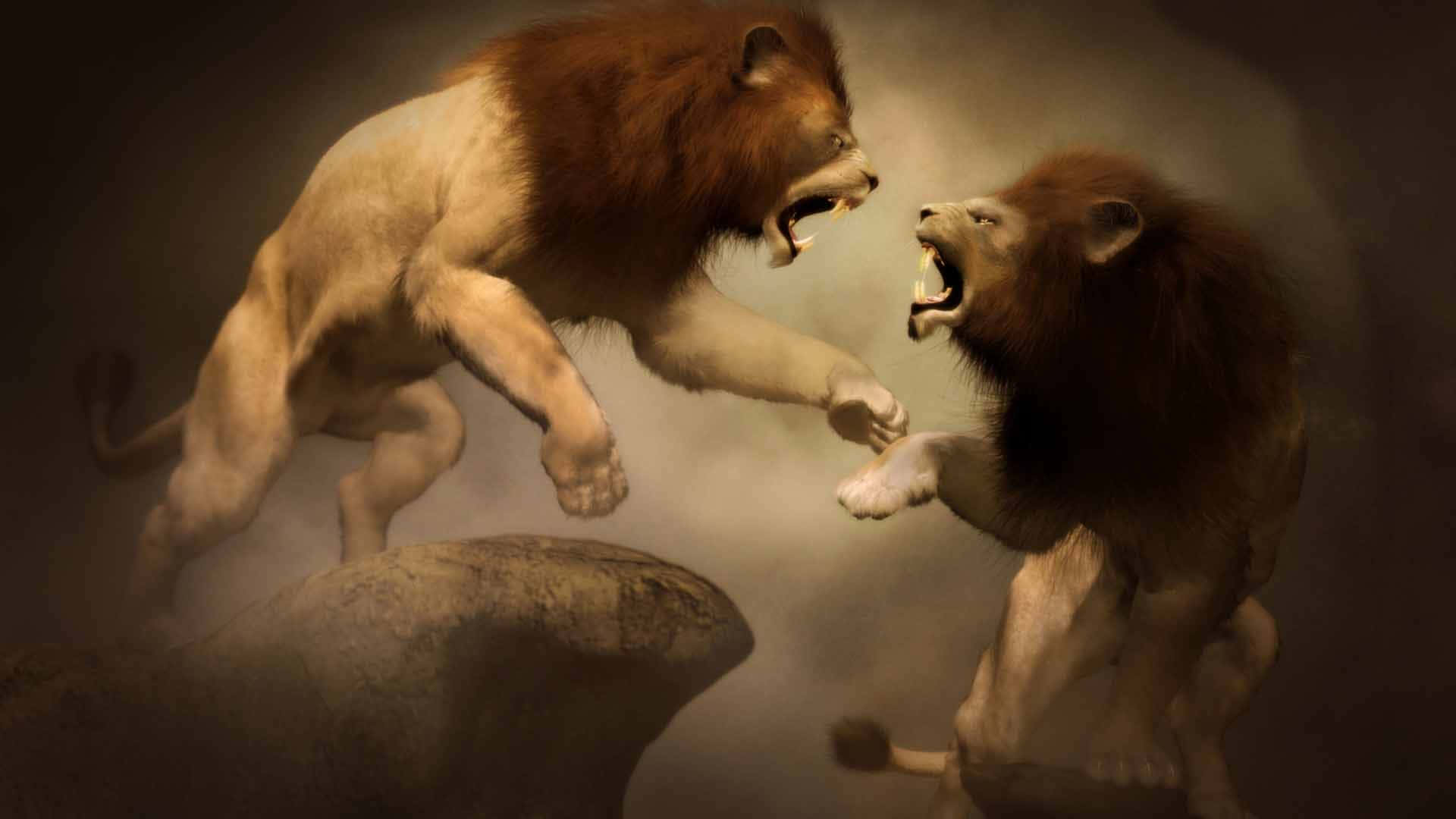 兩頭獅子咆哮著互相撲向對方，進行一場激烈的打鬥。
