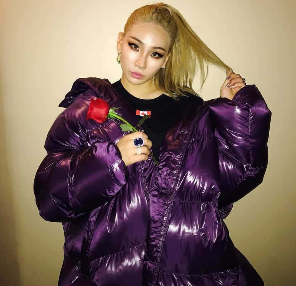 身穿閃亮紫色外套的女性拿著紅玫瑰並拉著金色頭髮。