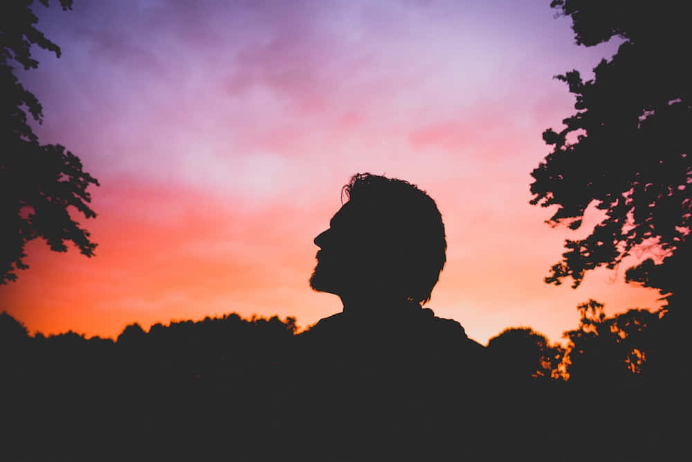 剪影中的男人在樹枝間仰望色彩繽紛的夕陽