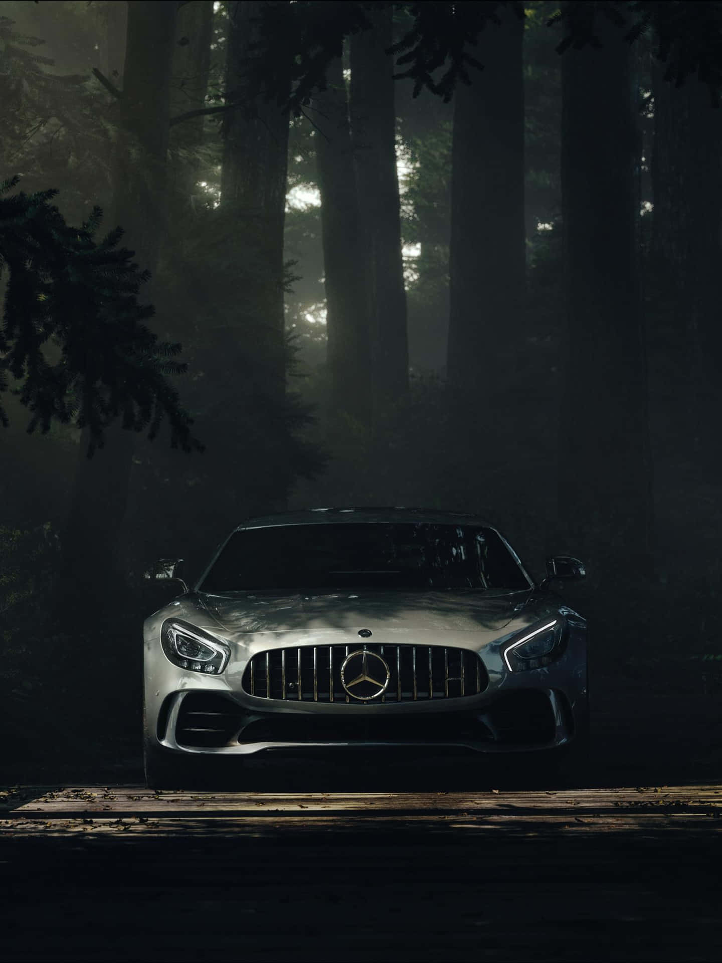 銀色 Mercedes-AMG GT 在霧氣籠罩的樹木下，停於森林木橋上。