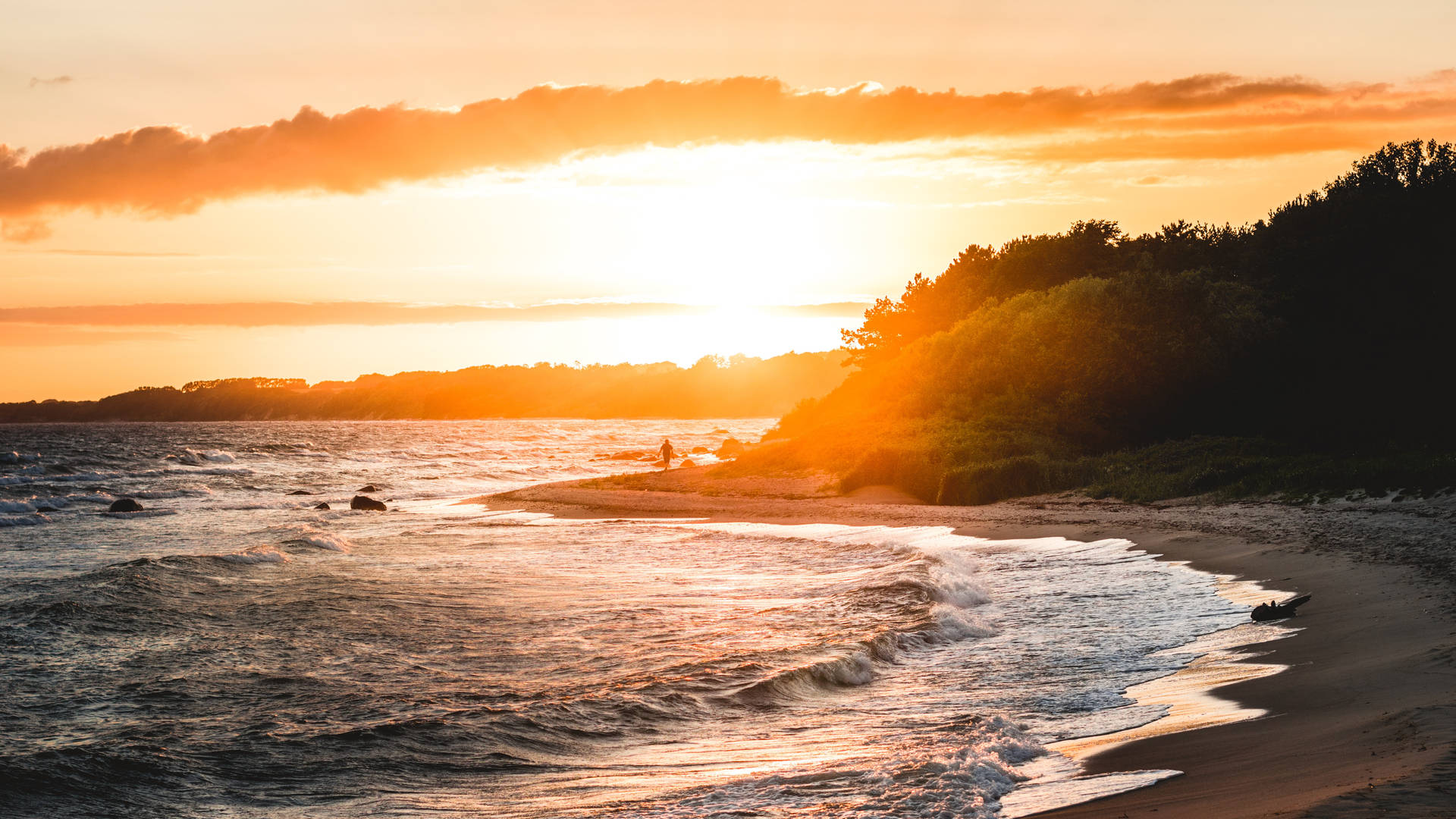 海洋上的夕陽，沙灘上的海浪，樹木剪影