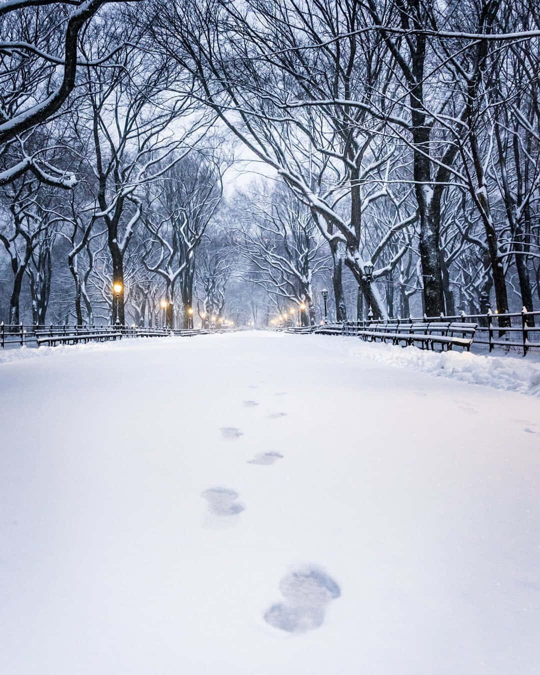 溫馨冬日風情：雪徑足跡 壁紙 — 一條被雪覆蓋的公園小徑，兩旁是光禿禿的樹木和長椅，腳印通向在冬日天空下閃爍的路燈。