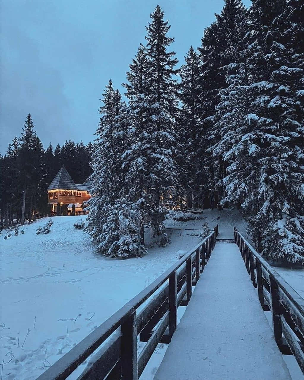 溫馨冬日風情：雪覆森林小橋 壁紙 — 一座被雪覆蓋的木橋通往一間溫暖亮燈的小屋，坐落在暮色天空下高聳的常青樹之間。