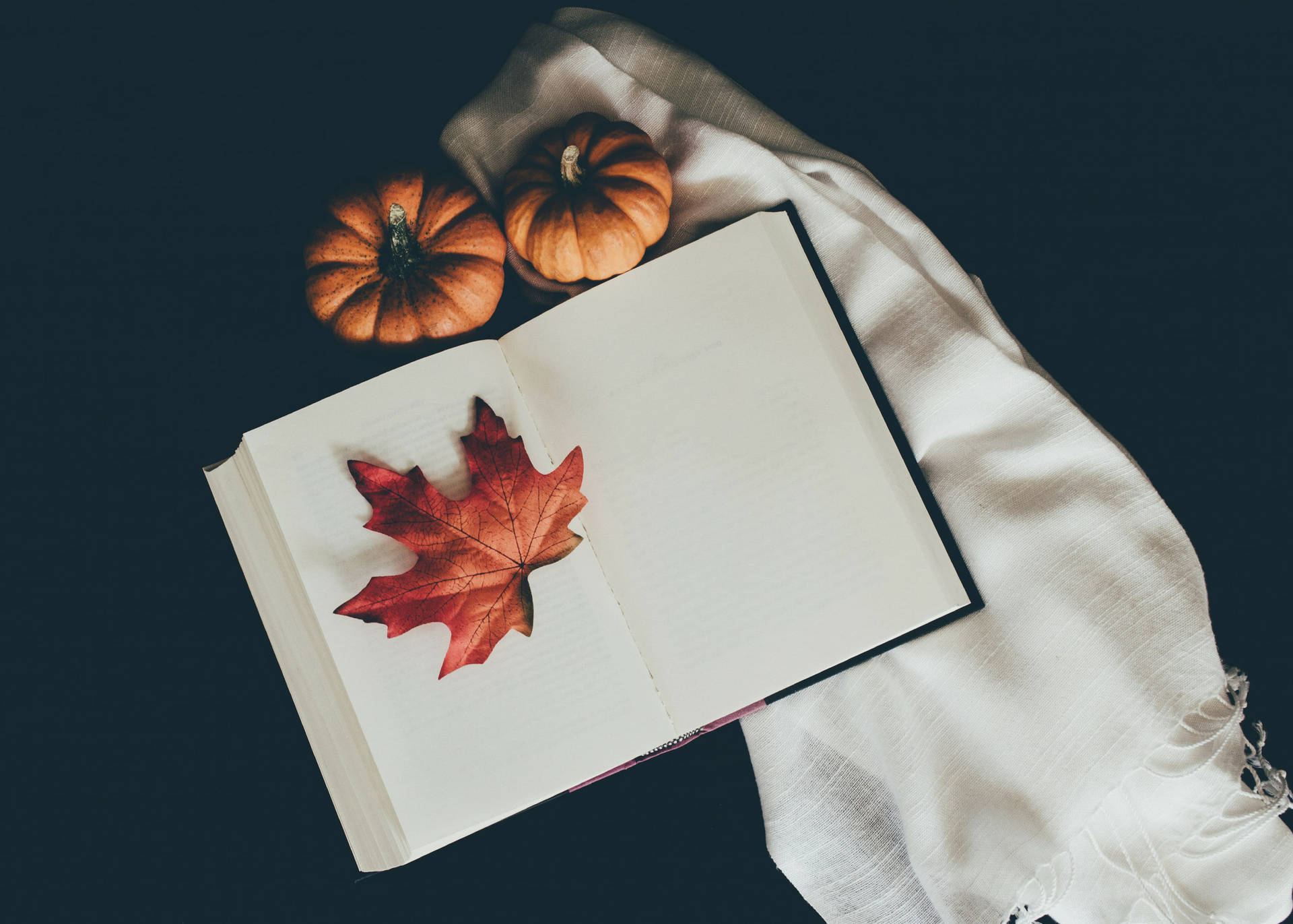 打開的書，白色布上有紅色楓葉和南瓜，深色背景