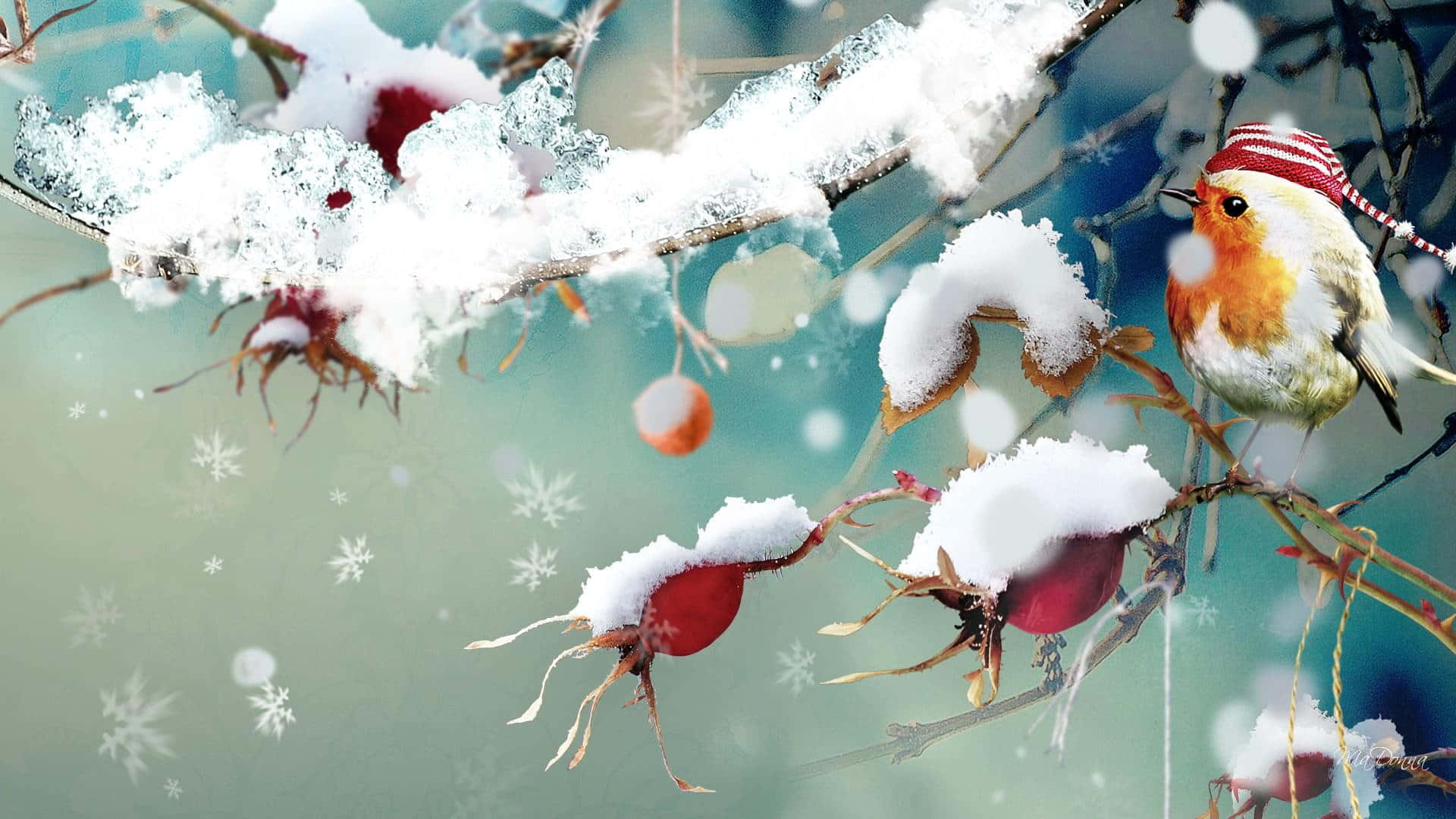戴紅帽的知更鳥站在雪枝上，有紅色漿果