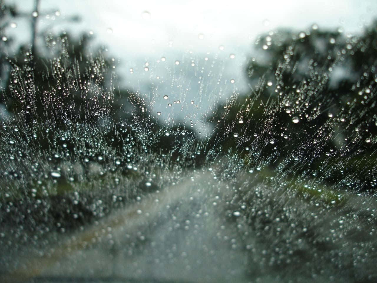 雨滴沿車窗流下，背景是模糊的樹木和道路。