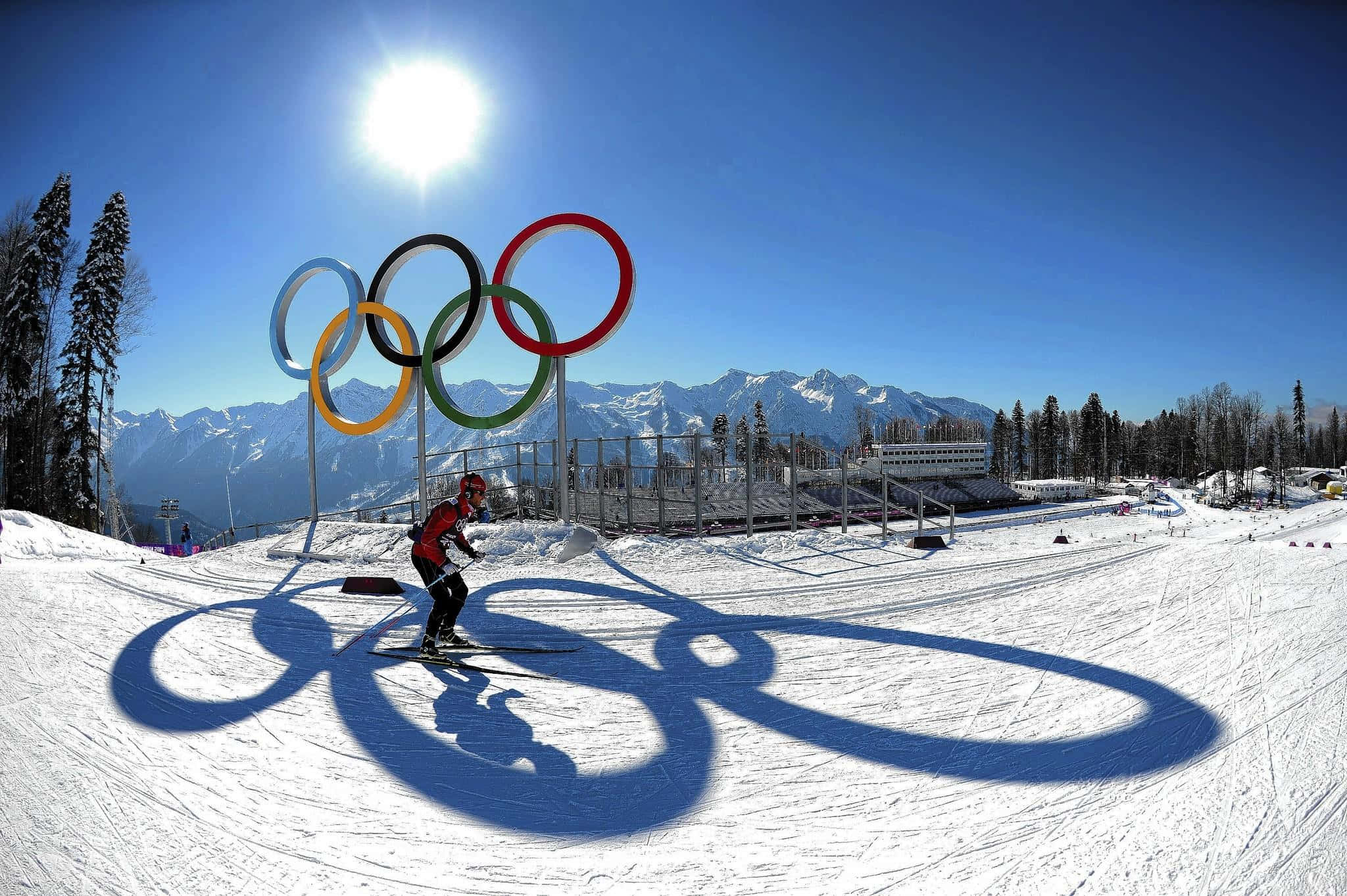 Winter Sports 桌布 壁紙 — 滑雪運動員在奧運五環下滑行，在明亮的陽光下於雪坡上投下巨大的陰影。