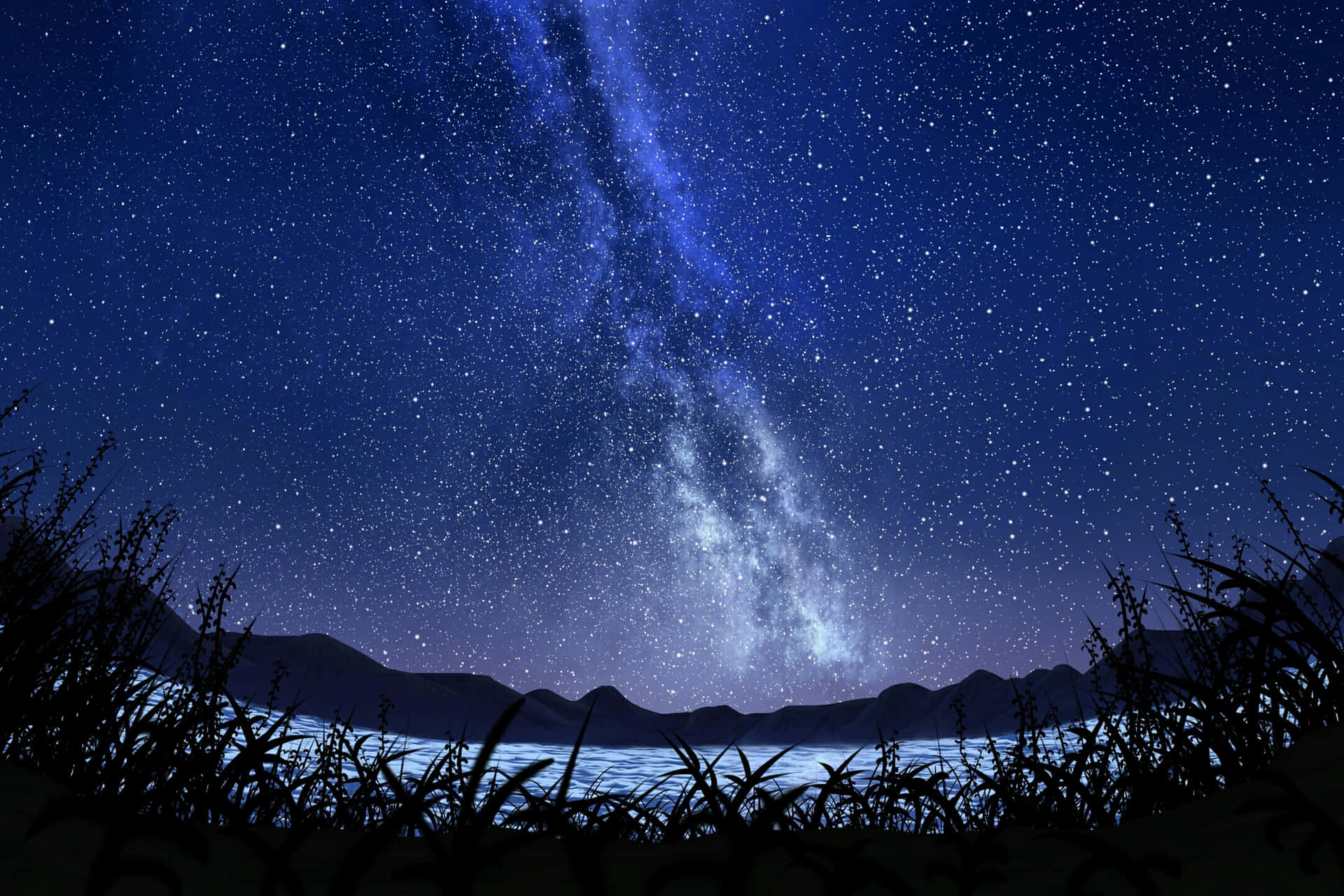 夜晚山湖上空的銀河系，草叢剪影