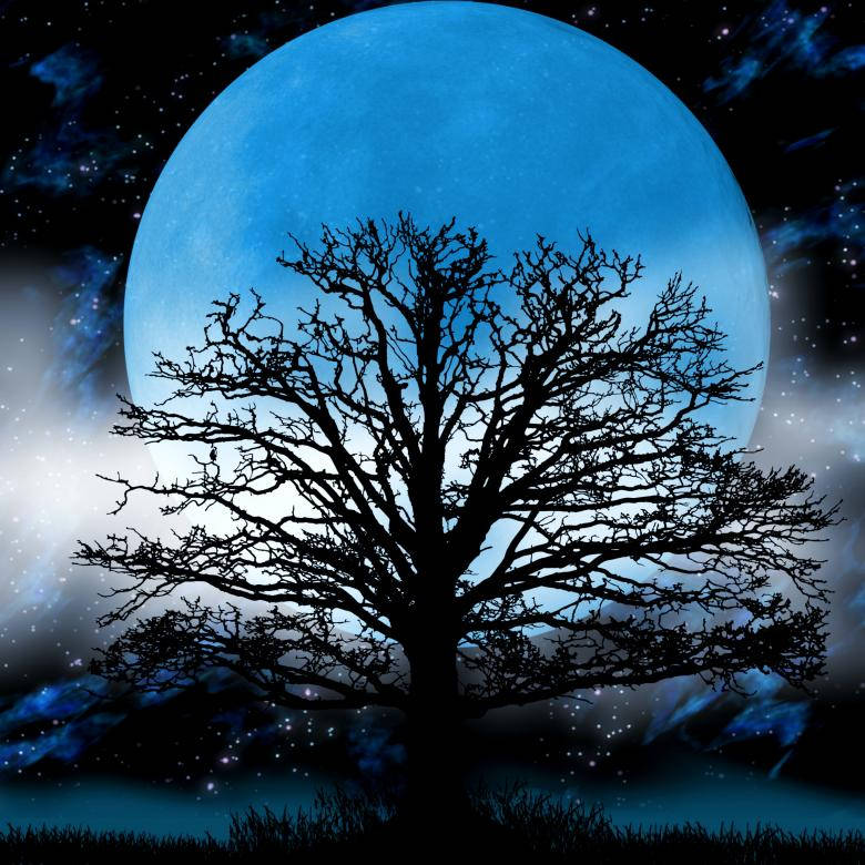 在繁星點點的夜空中，一棵光禿禿的樹在一輪巨大的藍色月亮下的剪影。