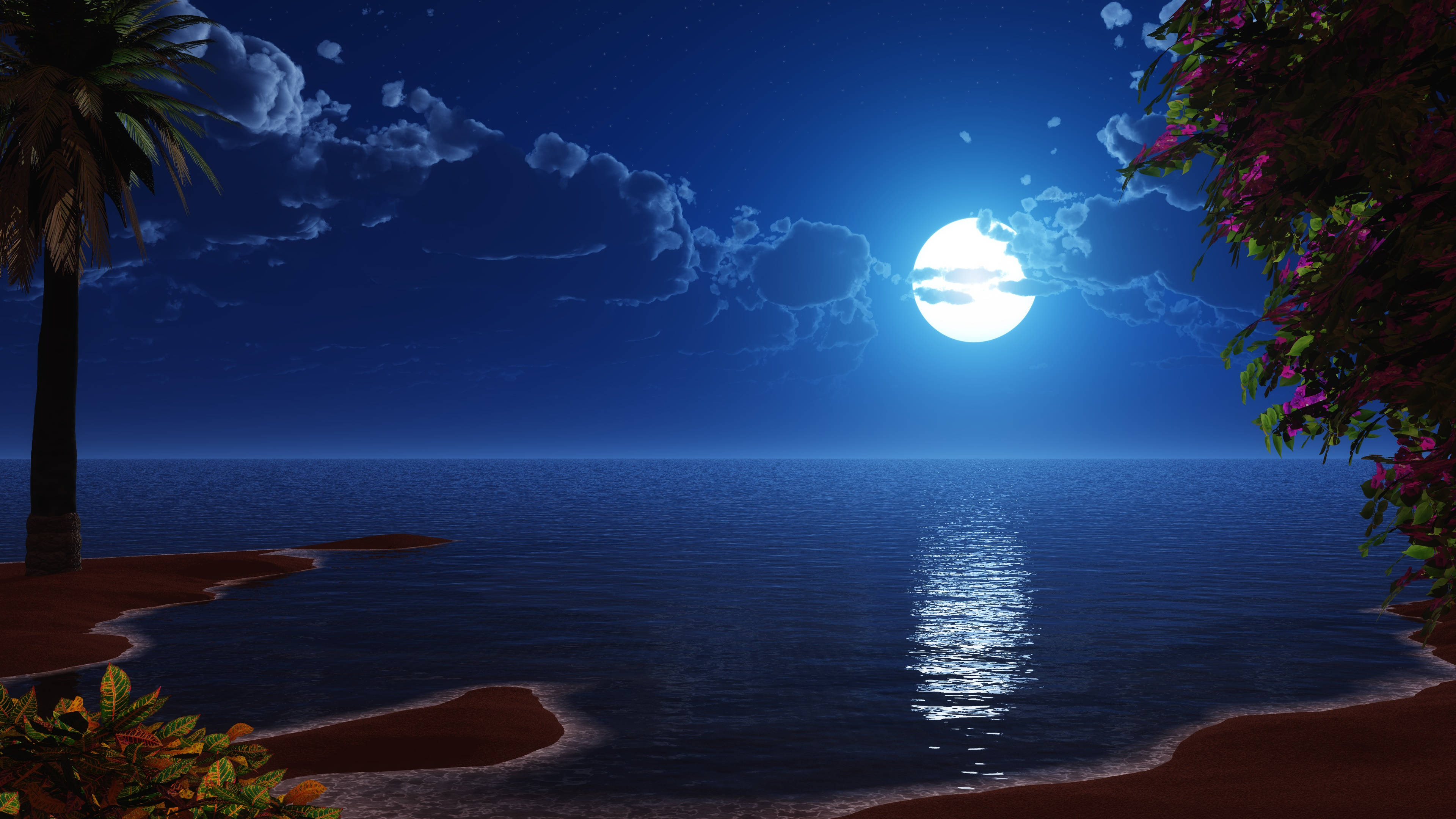 滿月海洋海灘夜景 壁紙 — 寧靜的月光海灘場景，滿月在平靜的海面上投射出一條閃爍的光路，周圍環繞著棕櫚樹和開花的灌木叢。