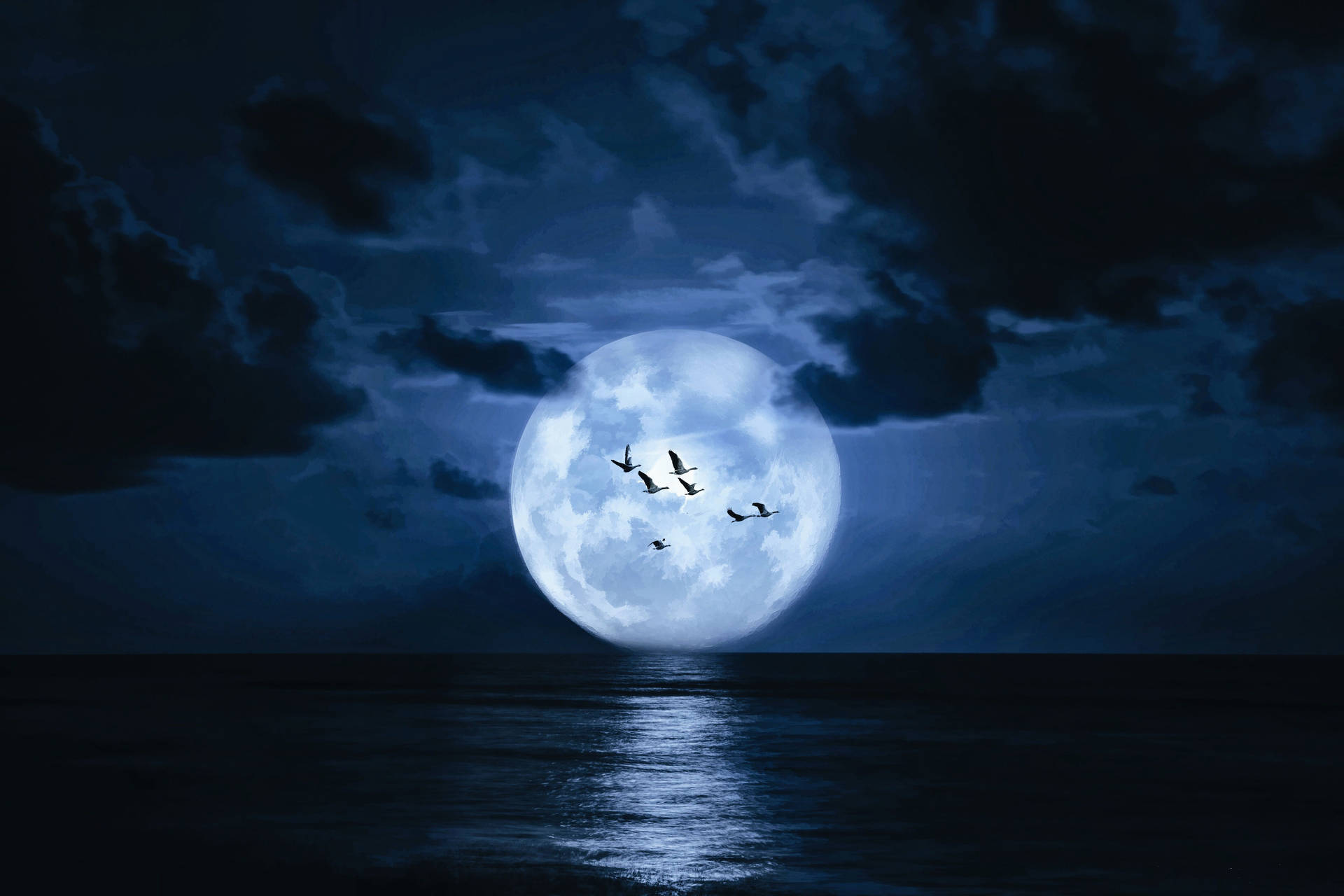 鳥兒在夜間黑暗的海水上空飛過滿月。
