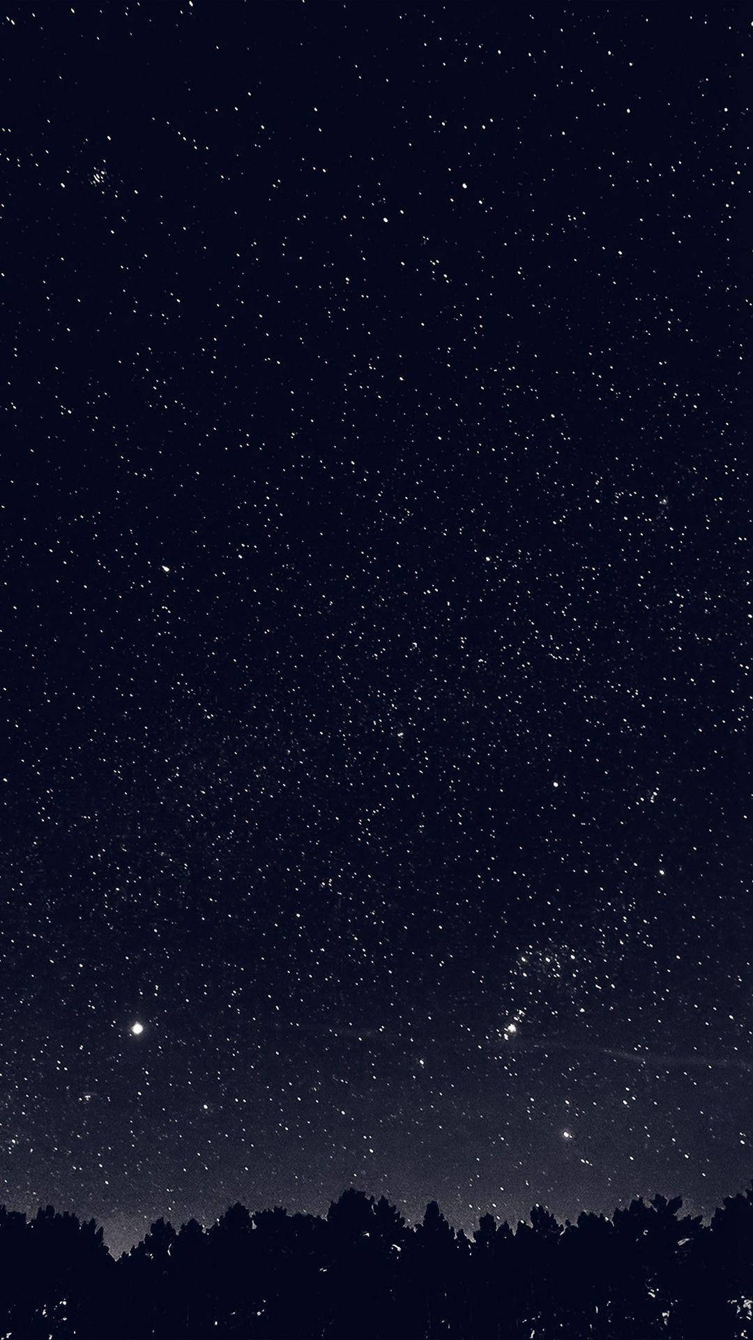 Stars 桌布 壁紙 — 漆黑的森林剪影上方，滿是無數閃爍星星的星空夜空。