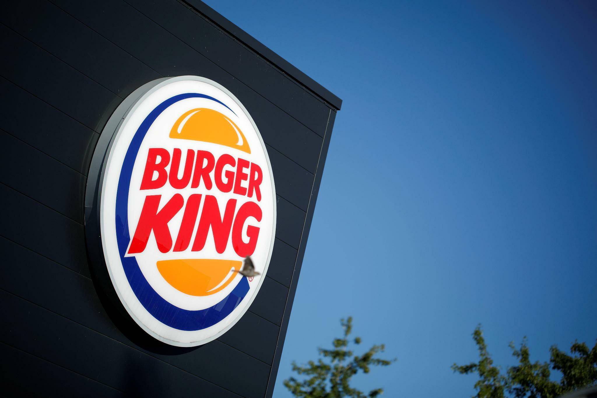 漢堡王路牌 壁紙 — 一個明亮的Burger King標誌招牌安裝在黑色建築物上，背景是清澈的藍天，樹梢清晰可見。
