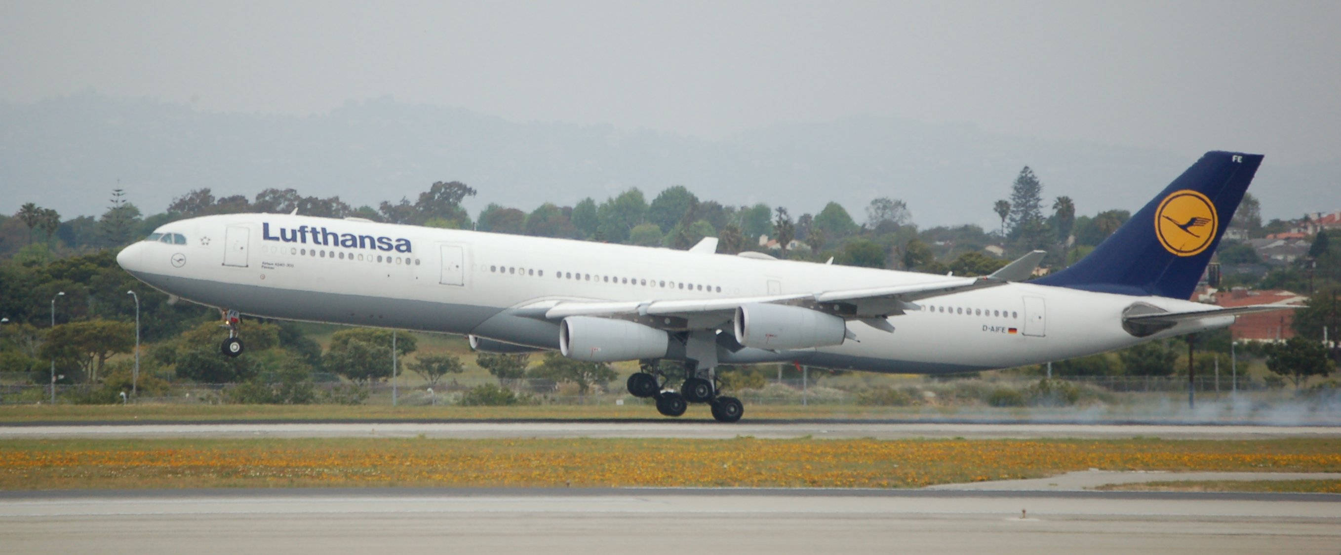 漢莎航空飛機於機場 壁紙 — 一架漢莎航空空中巴士A340飛機在跑道上滑行，跑道旁有黃色花朵和遠處的山丘，天空多雲。