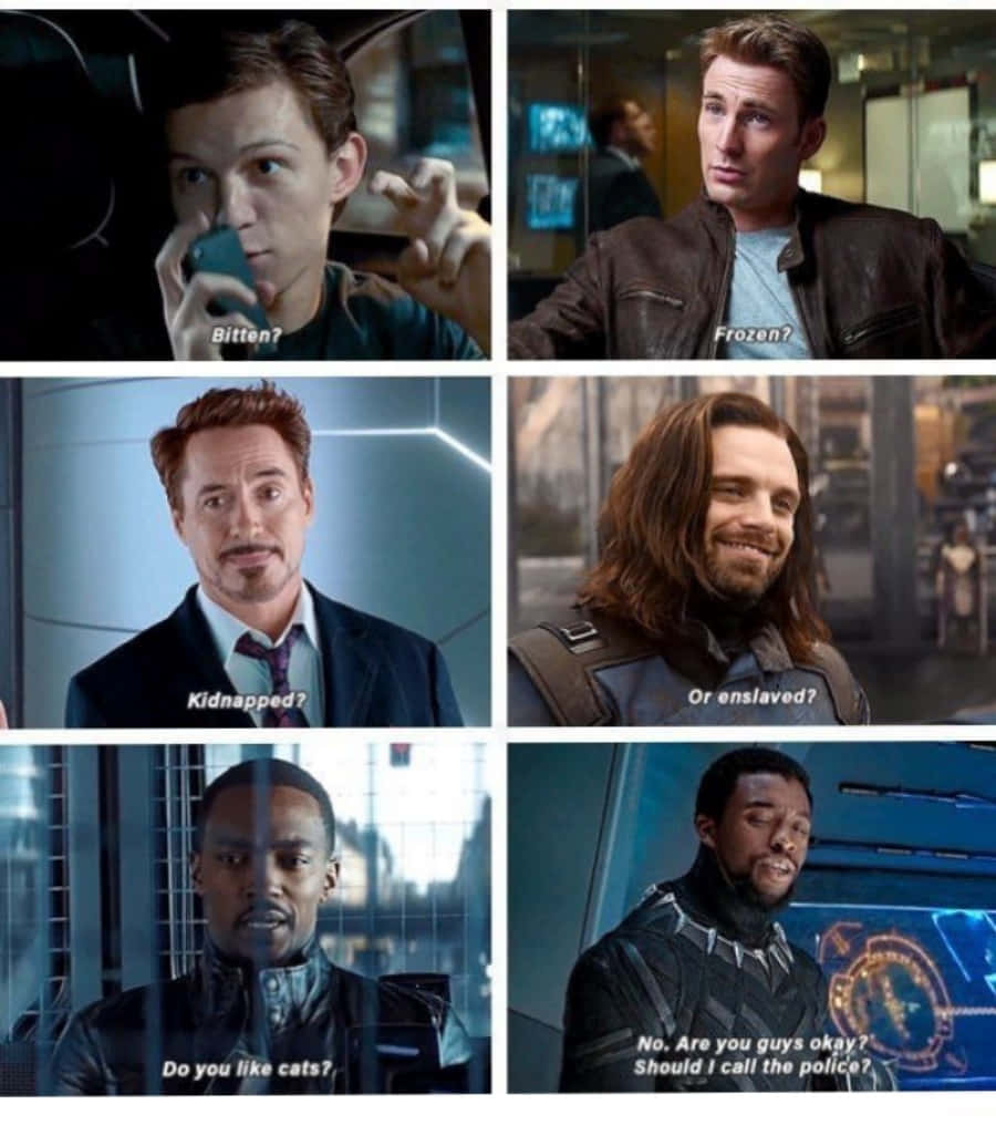 六位Marvel超級英雄對涉及貓的神秘情況表現出困惑和擔憂。
