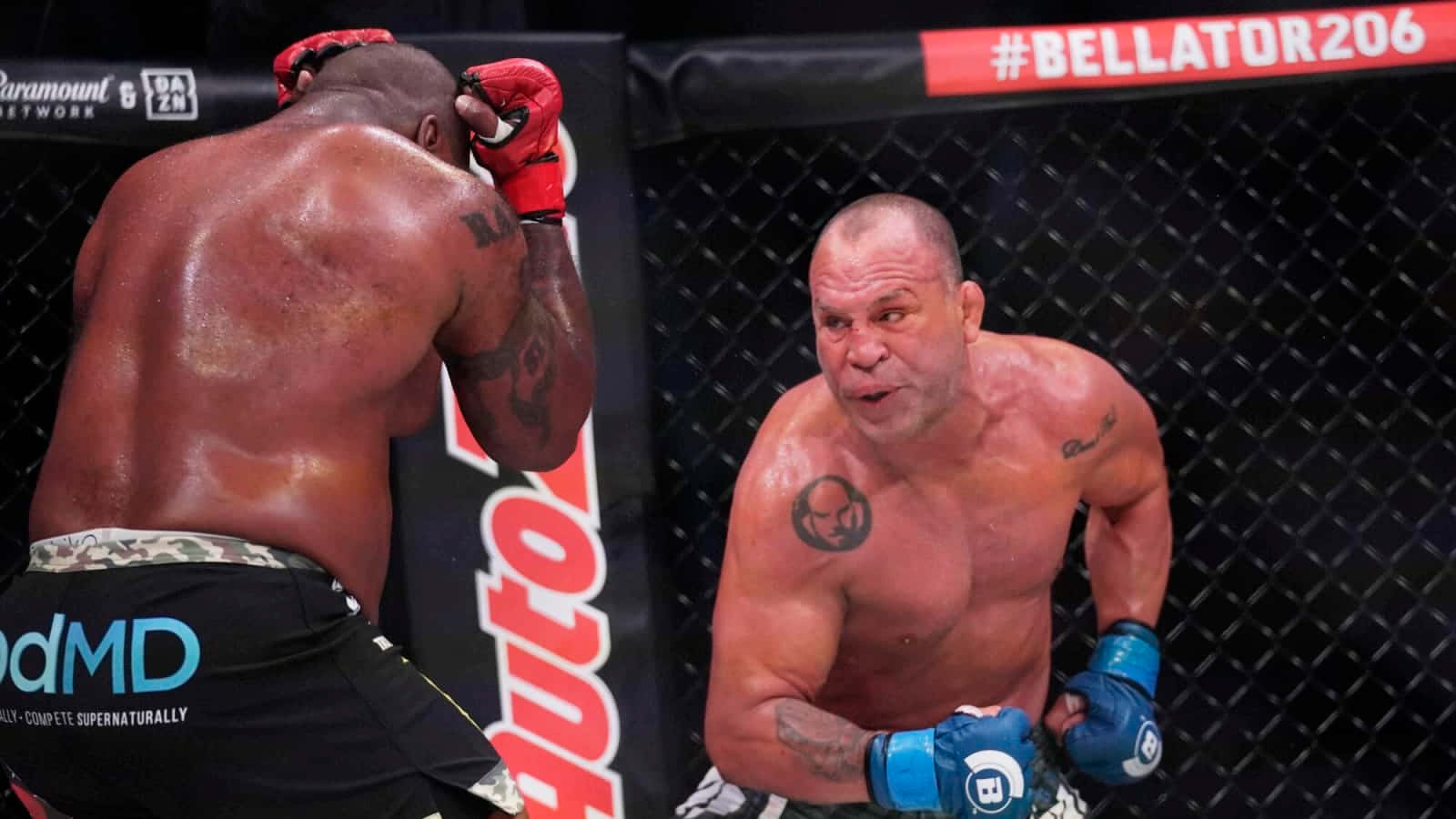 Bellator比賽期間，籠中的兩名MMA拳手。