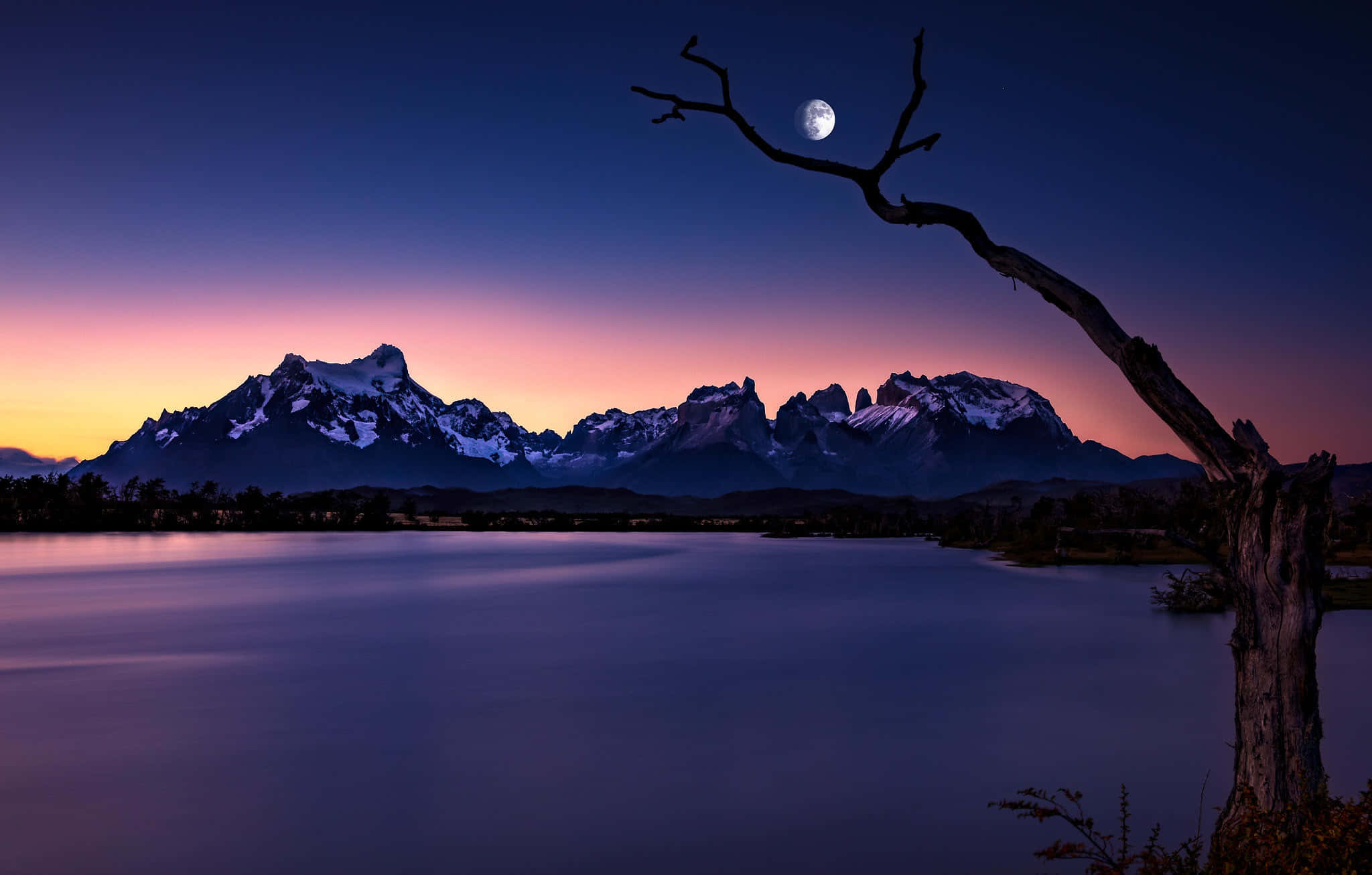 漫步迷人的巴塔哥尼亞景觀 壁紙 — 寧靜的黃昏場景，一輪滿月在枯樹剪影後升起，映照在平靜的湖面上，反射出積雪覆蓋的山脈。