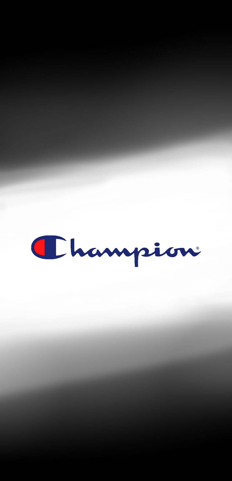 Champion 標誌居中於黑色到白色的漸變背景上。