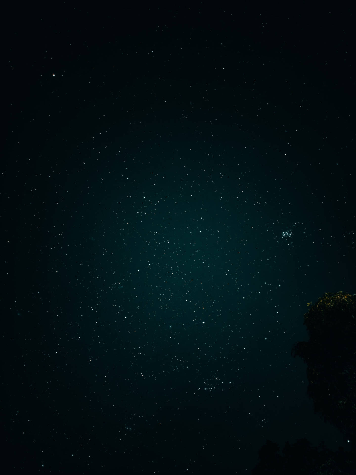 帶有藍綠色漸變和樹枝剪影的星空