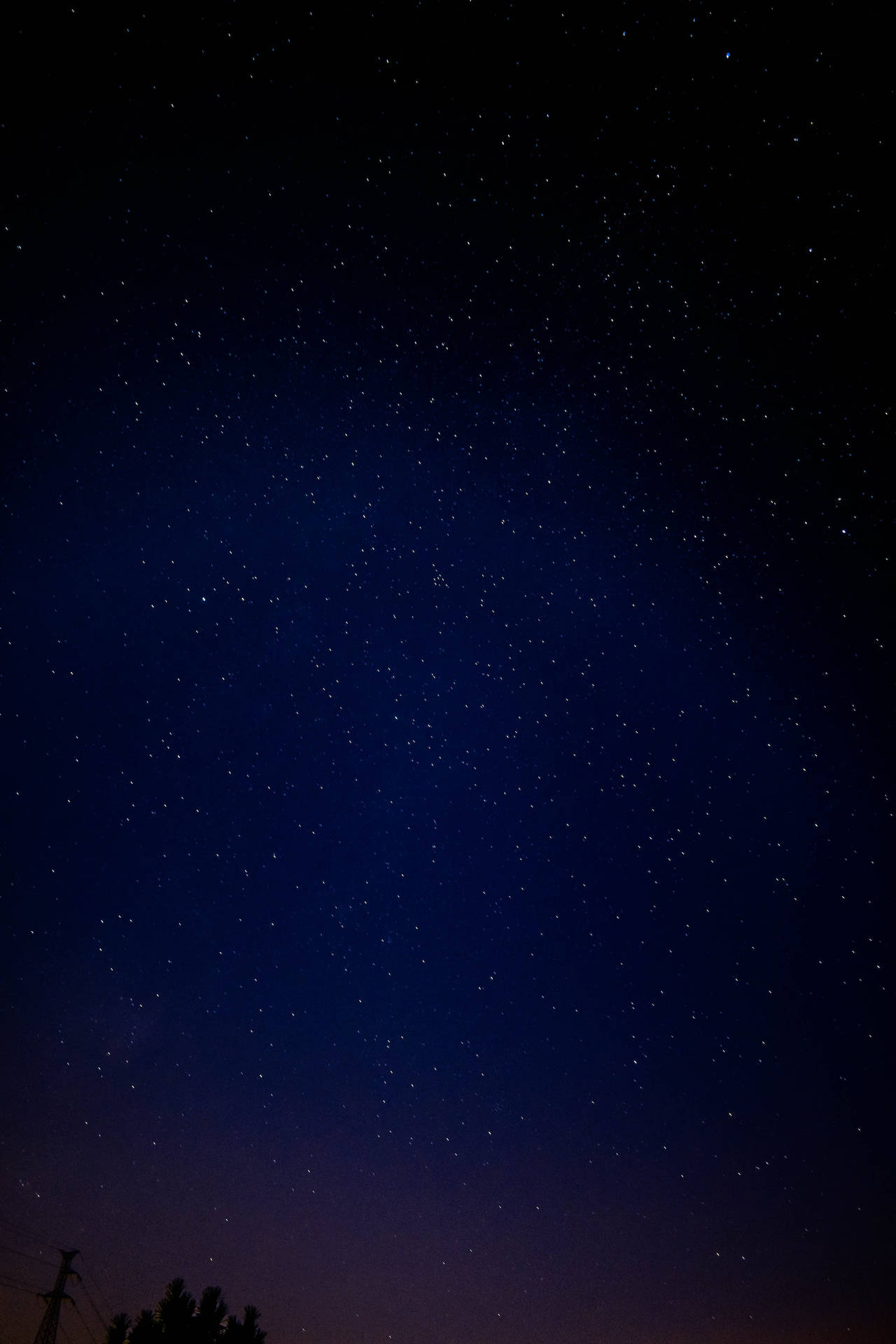 星空下的樹木與電線剪影