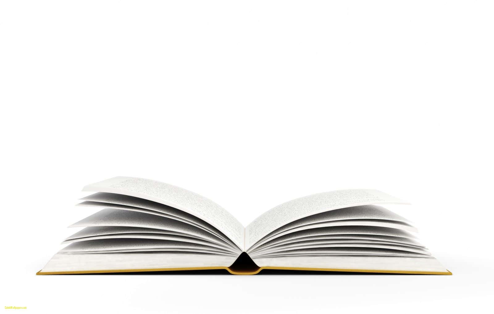白色背景上金色書邊的打開書本