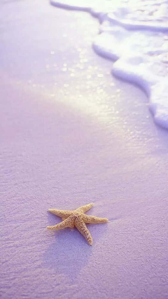 潛入海洋之美 壁紙 — 一隻橙色海星躺在薰衣草色的濕沙上，溫柔的海浪緩緩湧來。
