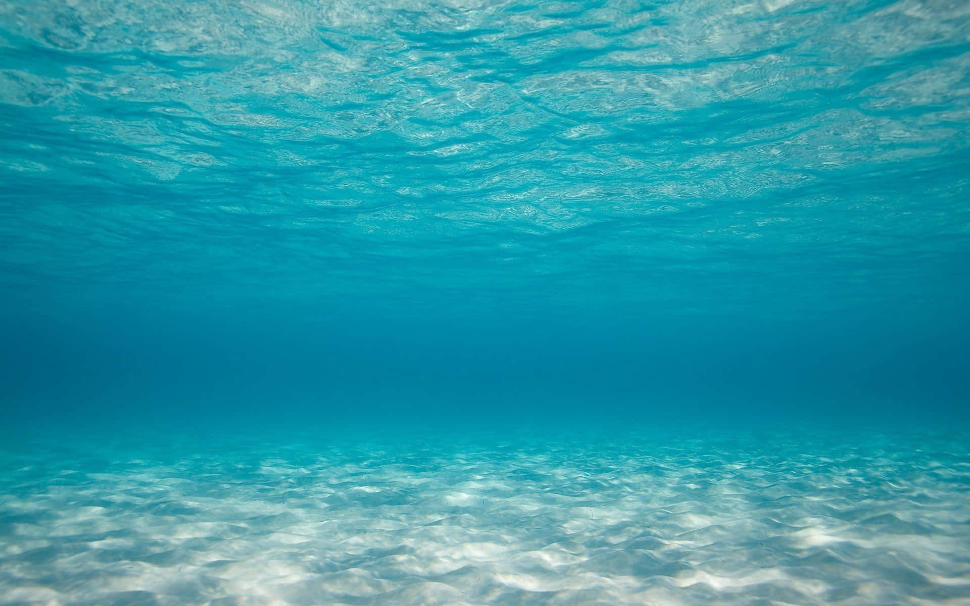 潛入深海 壁紙 — 陽光穿過清澈的碧藍海水，照亮了沙質海底。