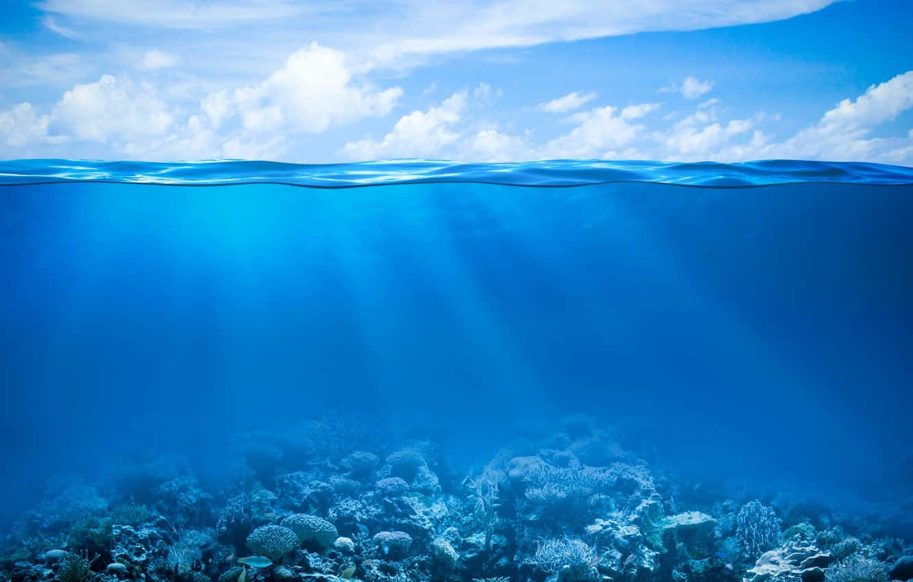 陽光穿過海水照射在珊瑚礁上方，天空和雲朵可見。