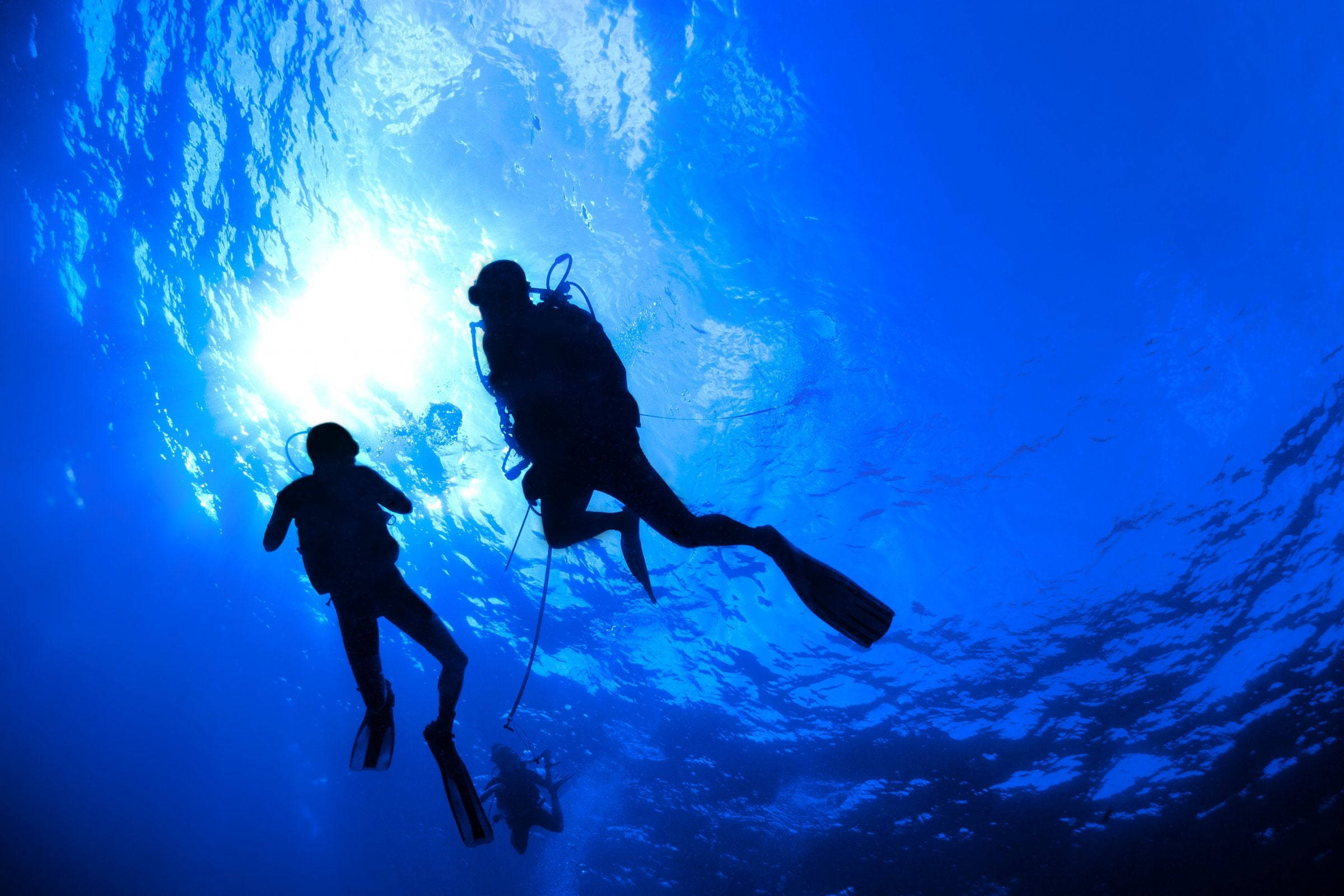 潛水員剪影 壁紙 — 兩位水肺潛水員在深藍海水中，以陽光照射的海面為背景形成剪影。