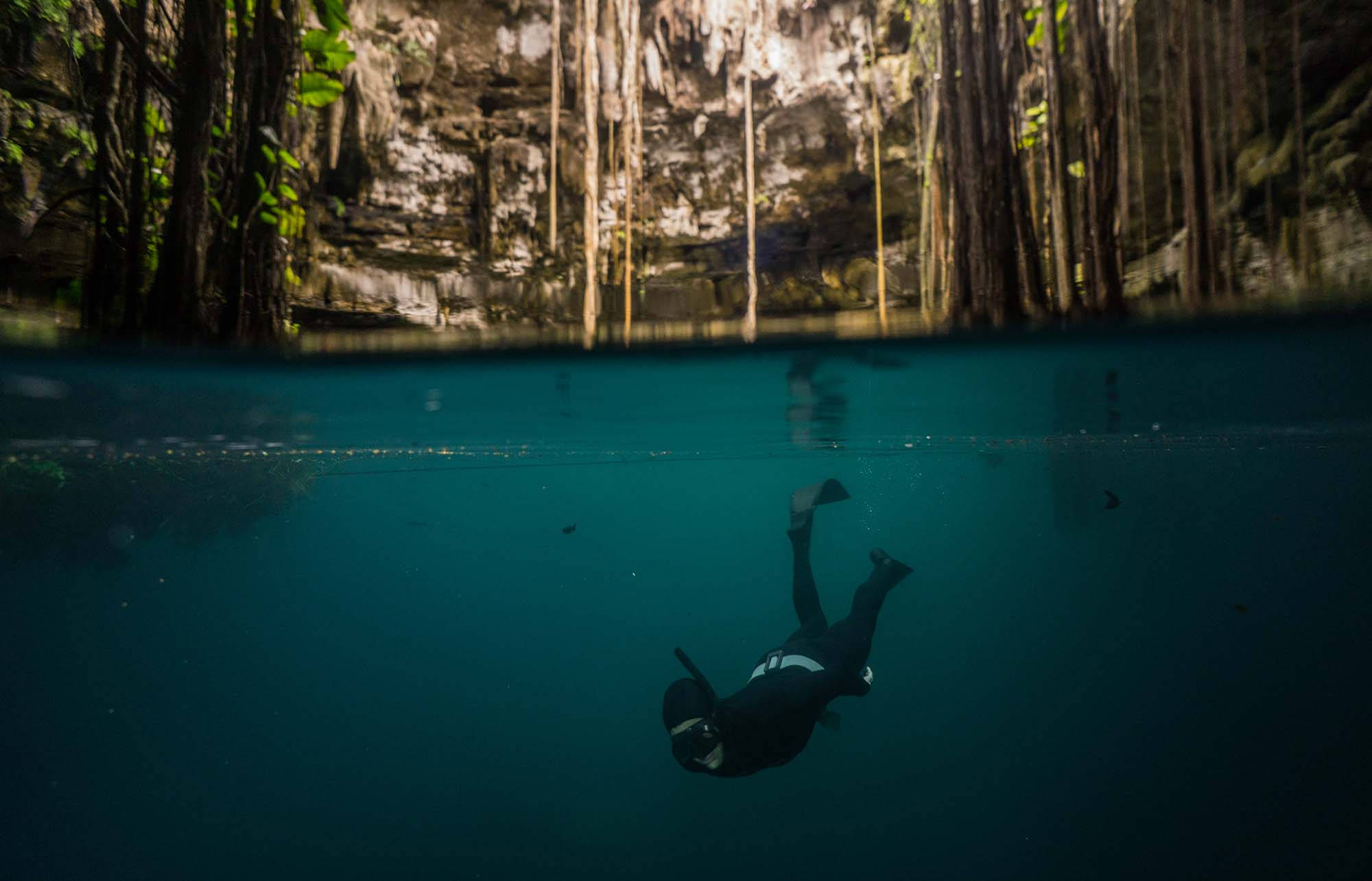 潛水員探索尤卡坦海底美景 壁紙 — 一名潛水員在清澈的天然井中滑行，四周環繞著高聳的樹根和陽光照射的岩壁。