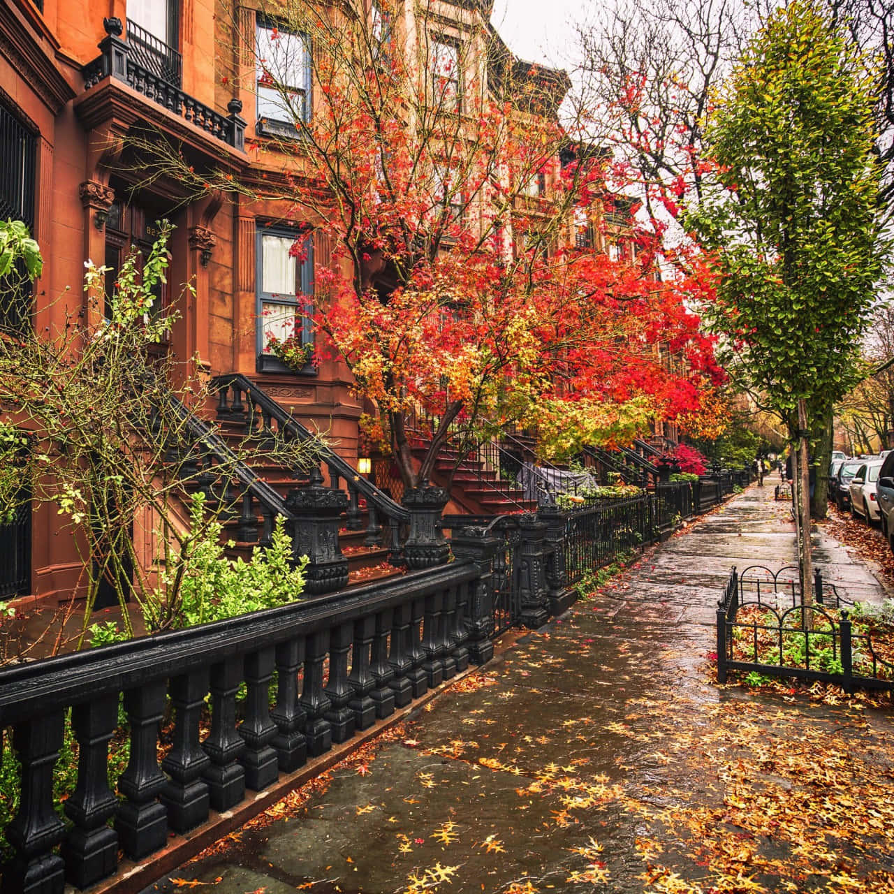 Fall City 桌布 壁紙 — 潮濕的秋日人行道，兩旁是紅磚褐石建築和樹木，樹葉如火般紅橙交織。