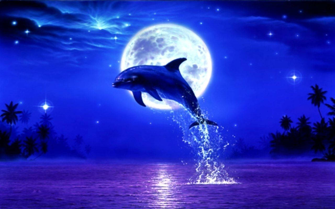 海豚在滿月和星空下從海洋躍出，伴隨棕櫚樹。