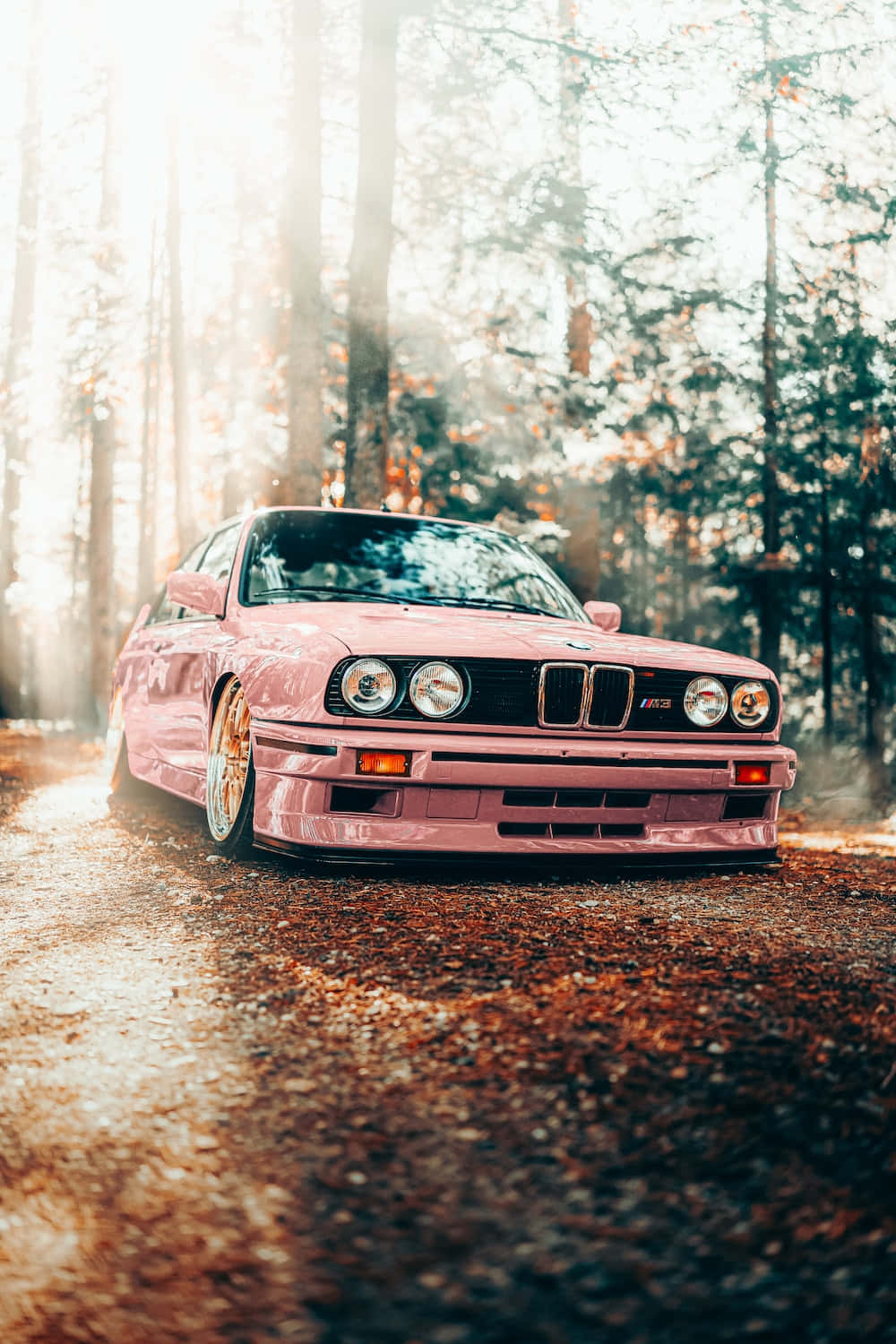激發靈魂的奢華生活 壁紙 — 一輛粉紅色BMW E30 M3在陽光普照的森林中飄移，金色光線穿過高大的樹木。