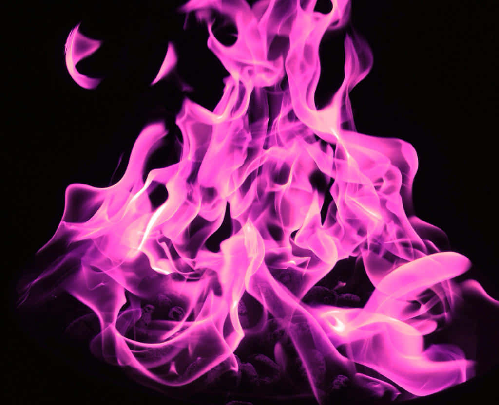 紫色火焰在黑色背景上明亮燃燒。
