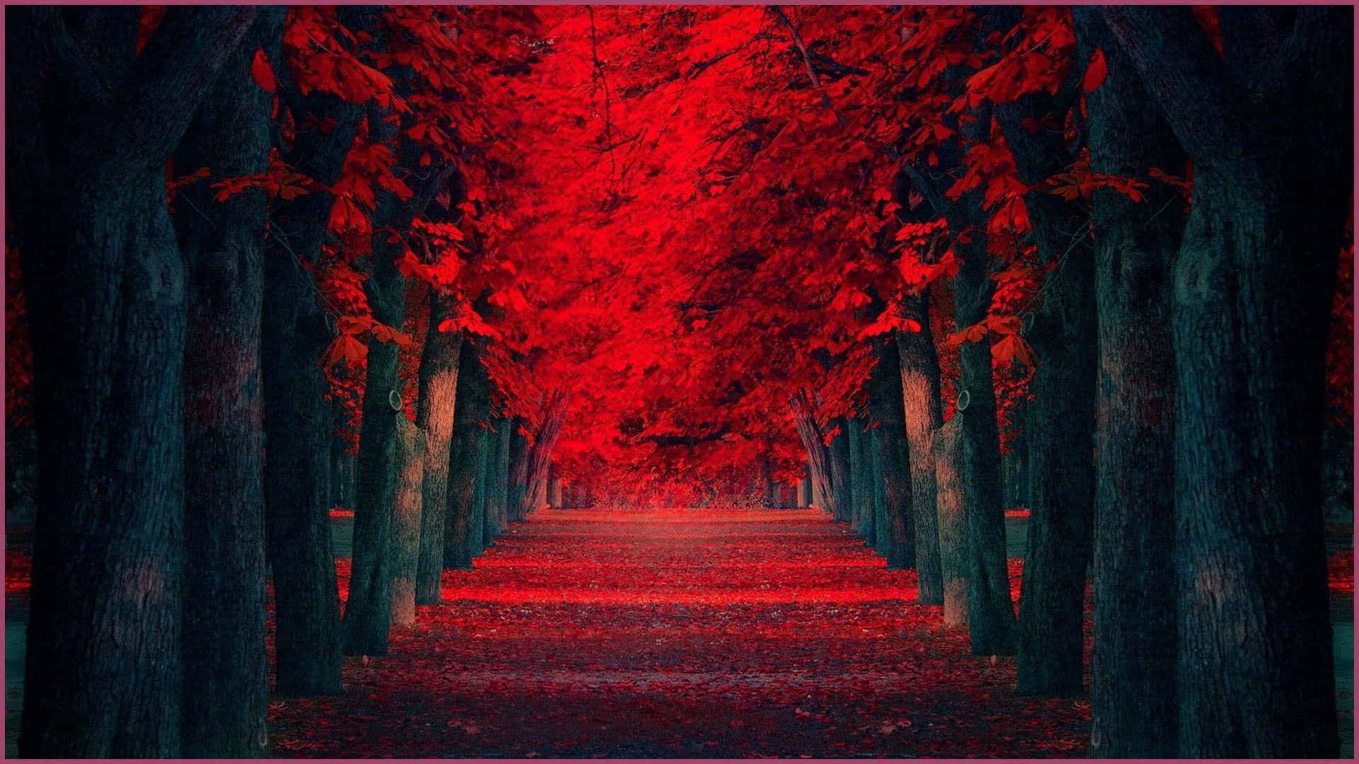 一條佈滿發光紅葉的小徑，穿過黑暗的森林樹木隧道。
