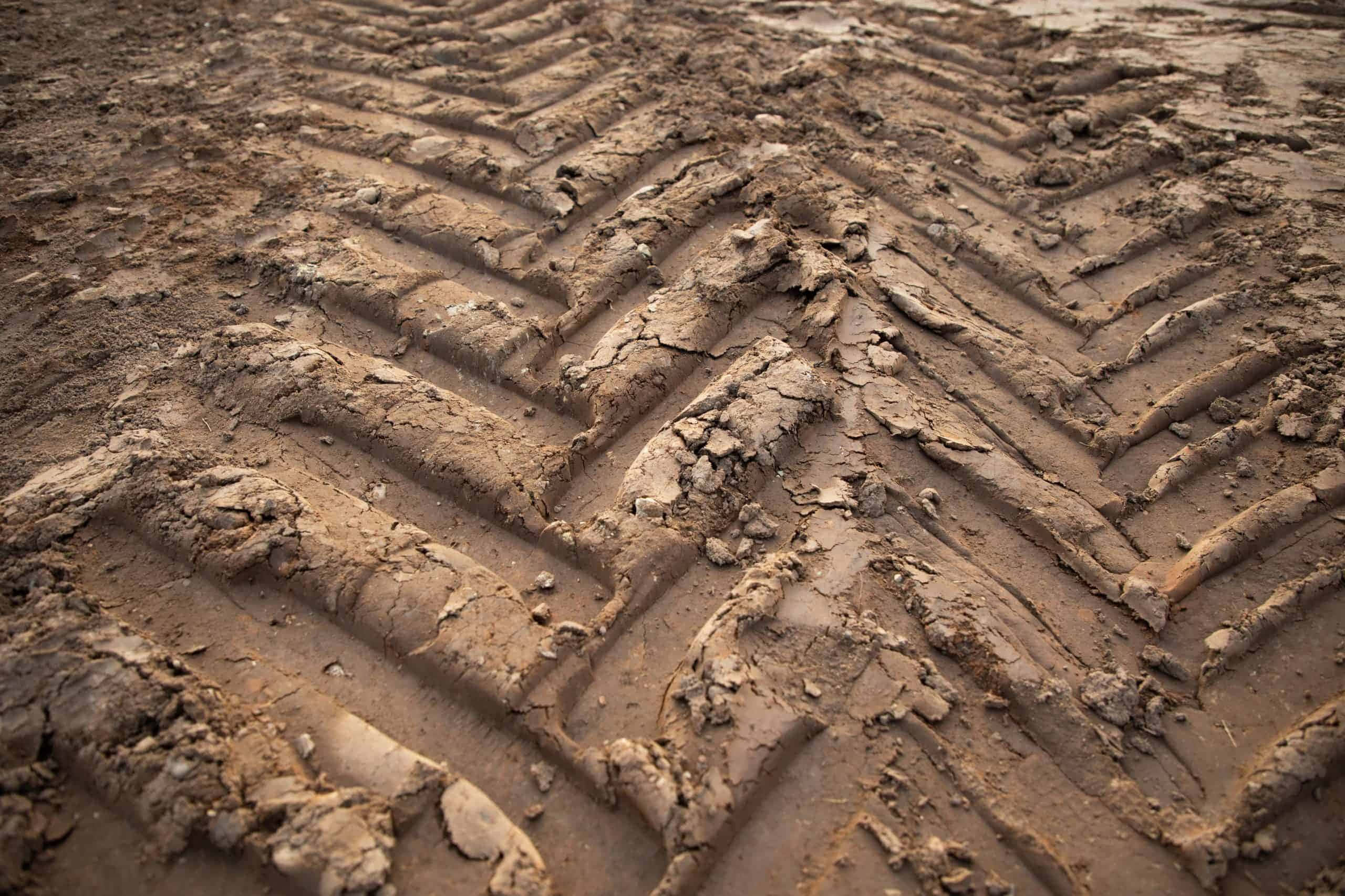 mud 桌布 壁紙 — 濕潤泥土上形成鋸齒狀圖案的深泥濘輪胎痕跡特寫。