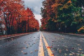 潮濕的道路兩旁是秋天的樹木，落葉滿地，天空灰暗。
