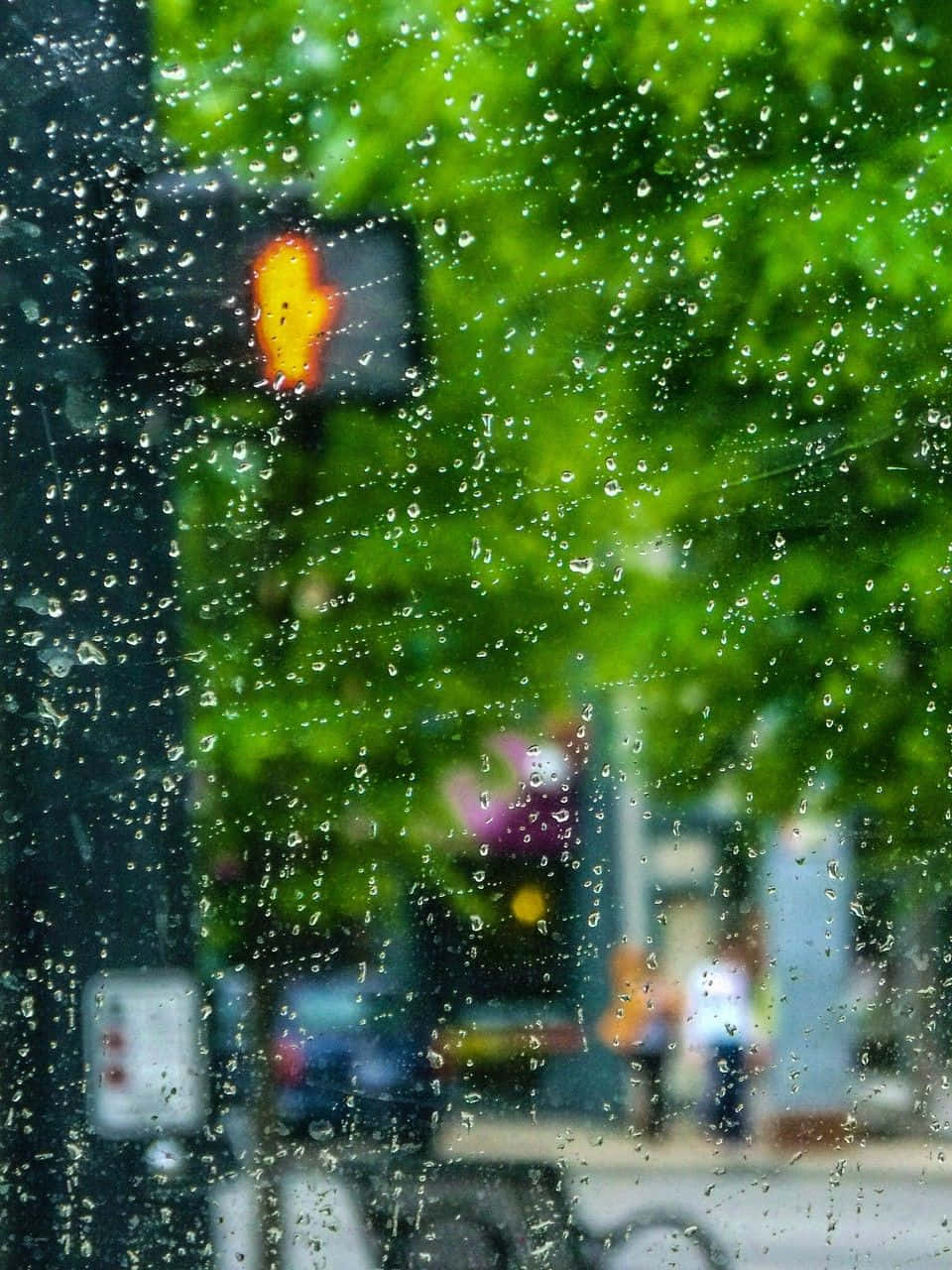 窗戶上的雨滴，俯瞰著一條有綠樹和交通燈的城市街道。