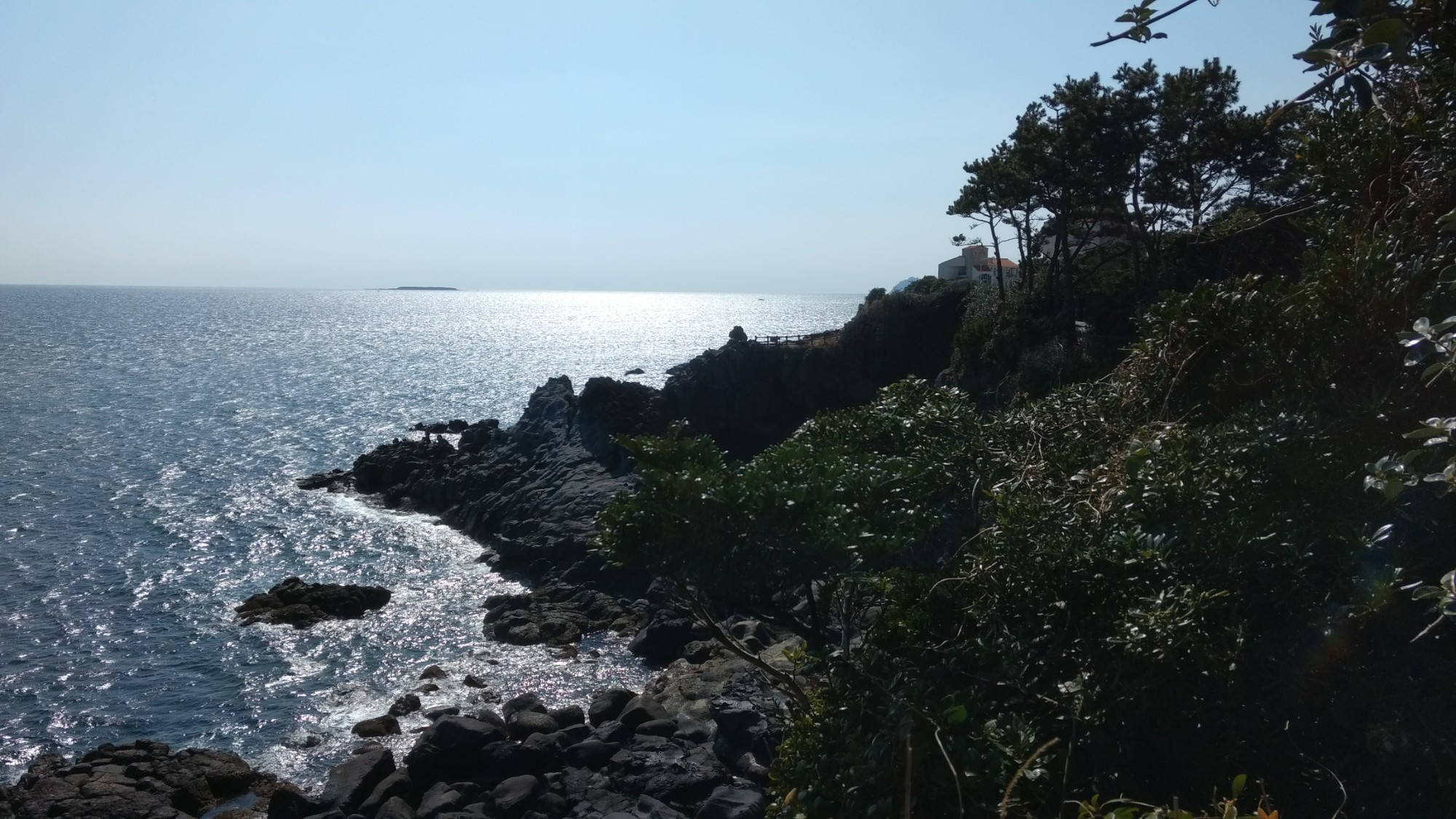 濟州島 昆龍海岸步道 壁紙 — 陽光在平靜的藍色海水上閃爍，映襯著崎嶇的岩石海岸線，兩旁是深綠色的樹木和灌木，天空晴朗。