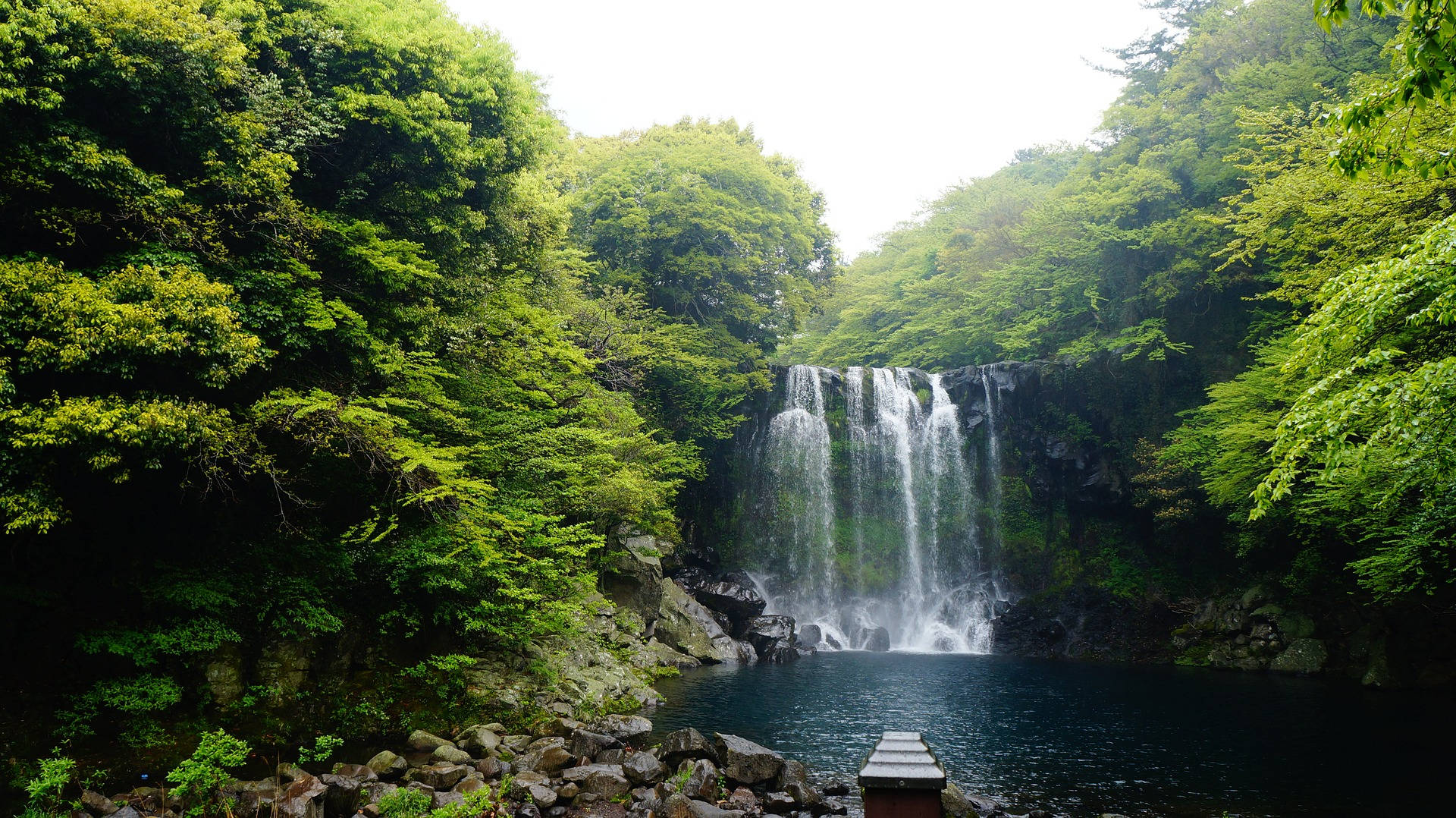 濟州島Cheonjeyeon瀑布 壁紙 — 一道寧靜的瀑布穿過茂密的綠色森林，流入一個平靜的黑暗水池，並設有木製觀景台。