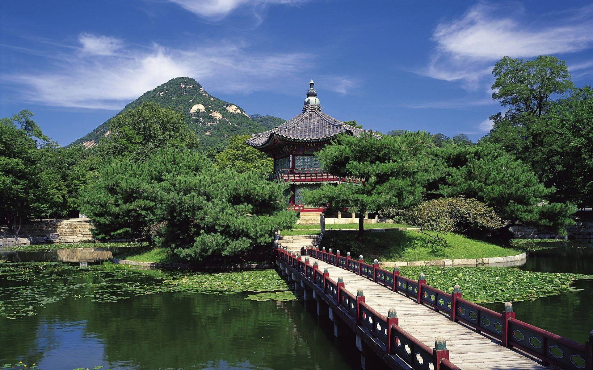 濟州島亭閣靜景 壁紙 — 一座傳統韓國亭閣，擁有彎曲的屋頂，坐落於翠綠島嶼上，由木橋連接，橋下池塘滿佈睡蓮，上方是明亮的藍天。