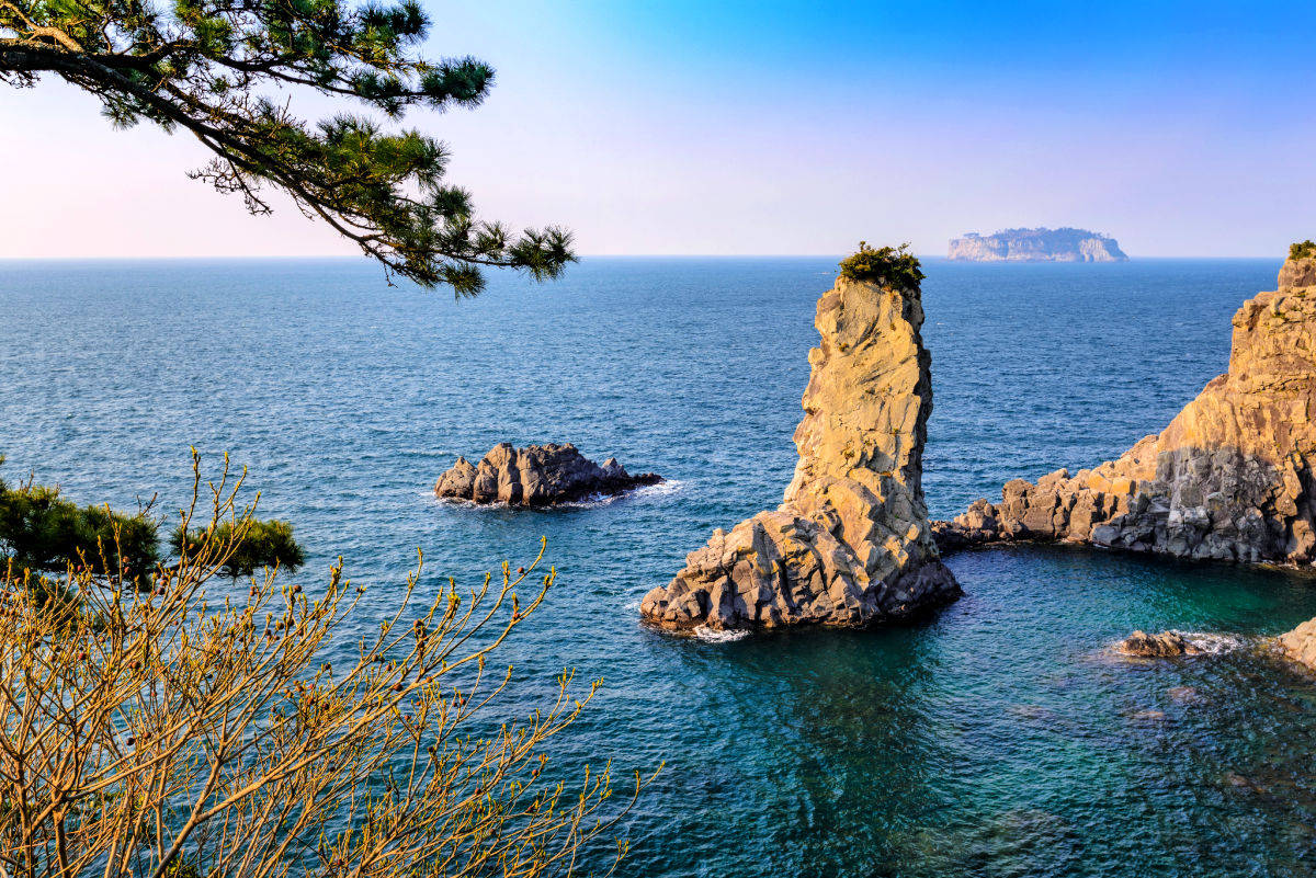濟州島獨樂灘 壁紙 — 一座高聳的海蝕柱從碧綠色的海水中升起，在清澈的藍天下，由松樹枝和遠處的島嶼框出。