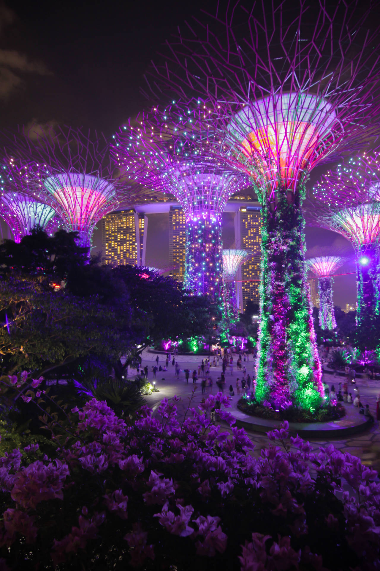 夜間城市花園中閃爍著未來感樹狀結構，人們在周圍漫步。