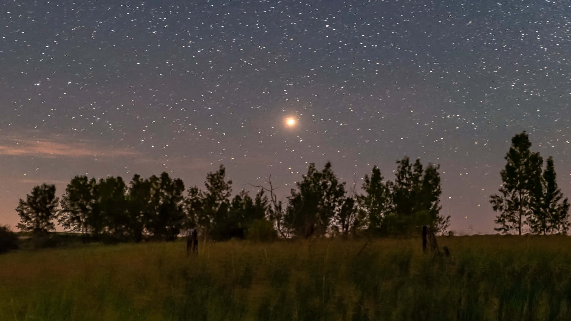 繁星點點的夜空，月亮在草地和樹木剪影之上