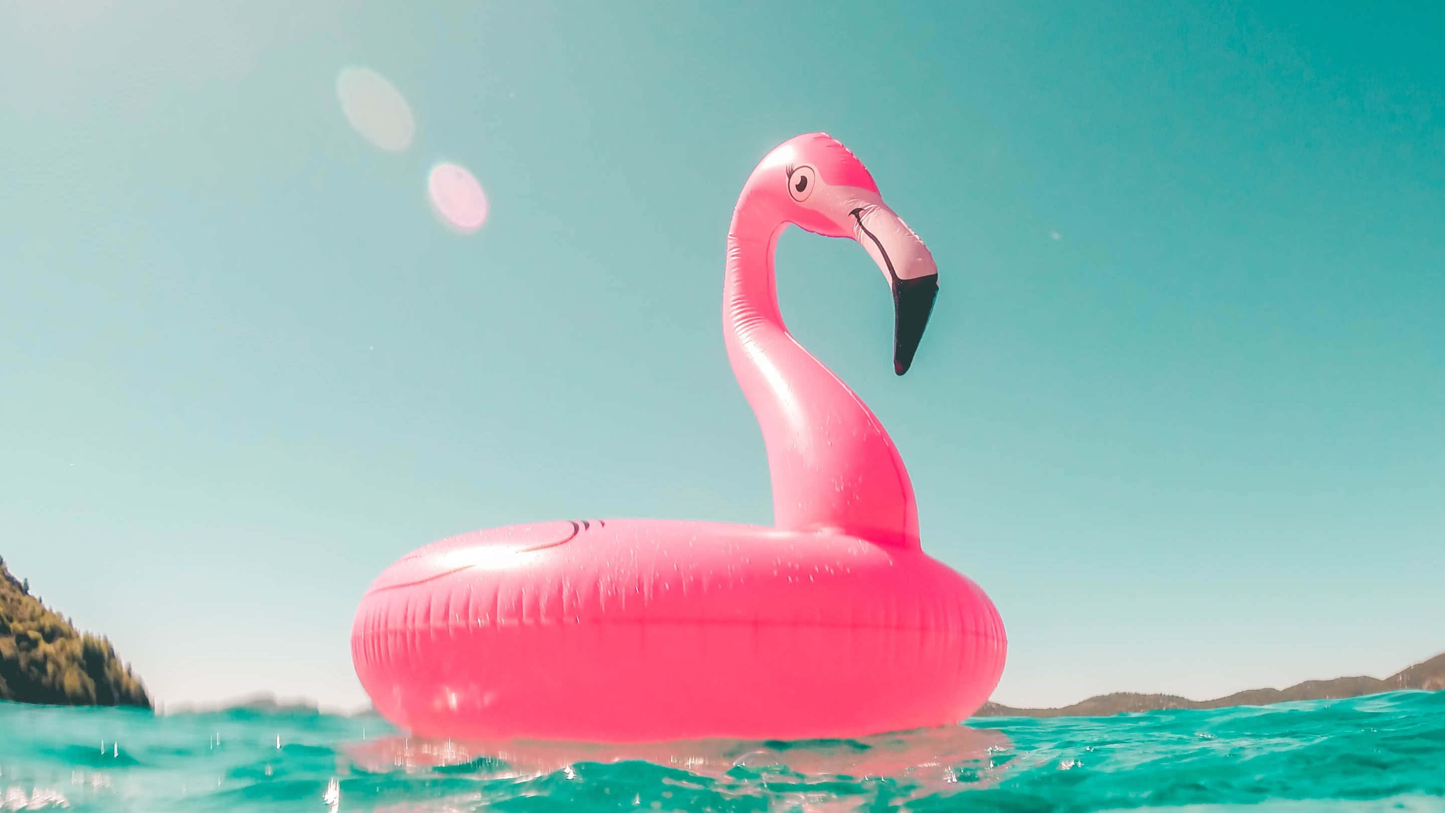 火烈鳥泳池夏日美學畫面 壁紙 — 一個鮮粉紅色的火烈鳥浮圈在清澈藍天下、碧綠水面上漂浮，帶有鏡頭眩光。