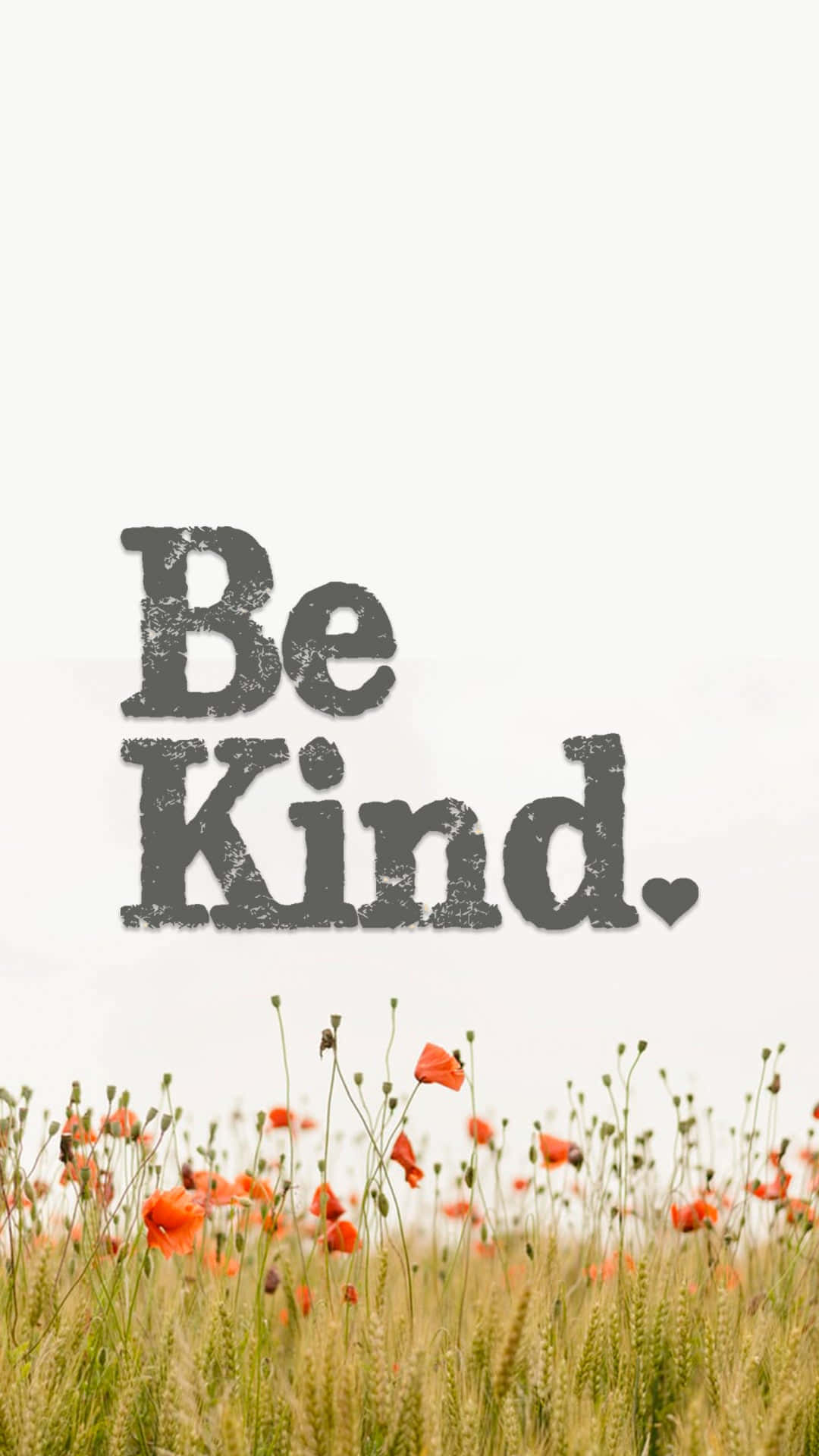 文字疊加在柔和焦點的橙色罌粟花田上方顯示「Be Kind。」