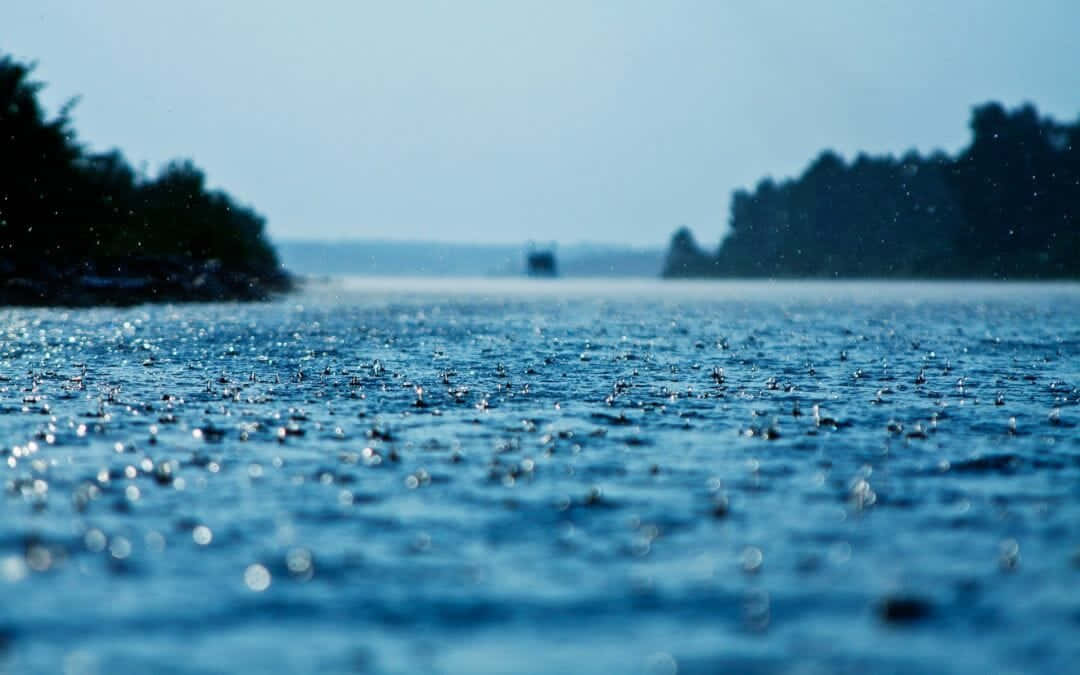 藍色湖面上的雨滴，遠處有樹木