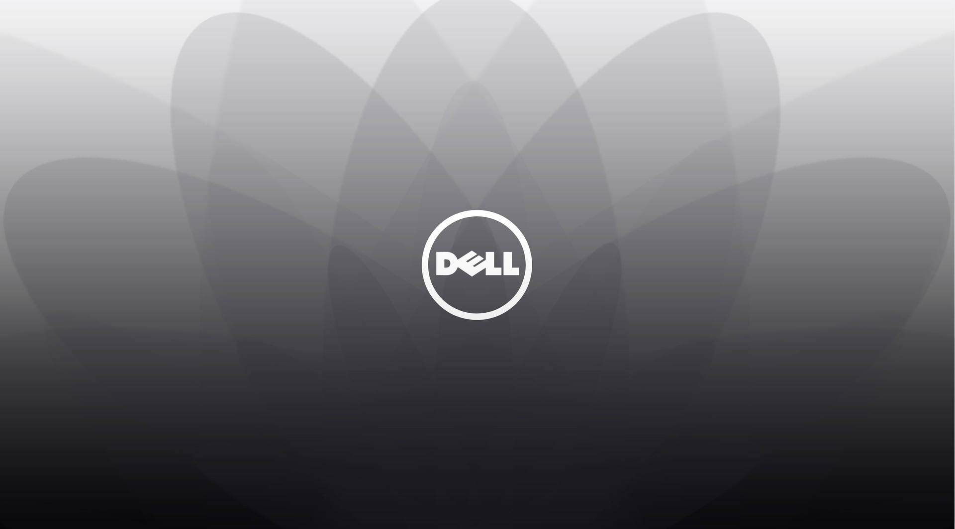 Dell 標誌在抽象灰色背景上，帶有柔和的花瓣形狀。